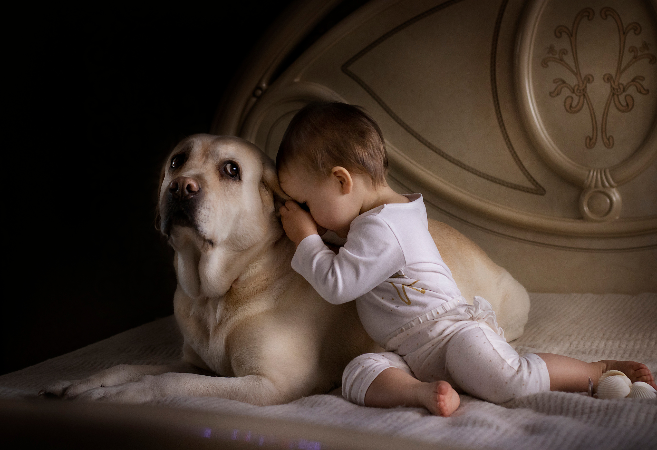 Детская Фотосессия. Семейный и детский фотограф Ansi Bay