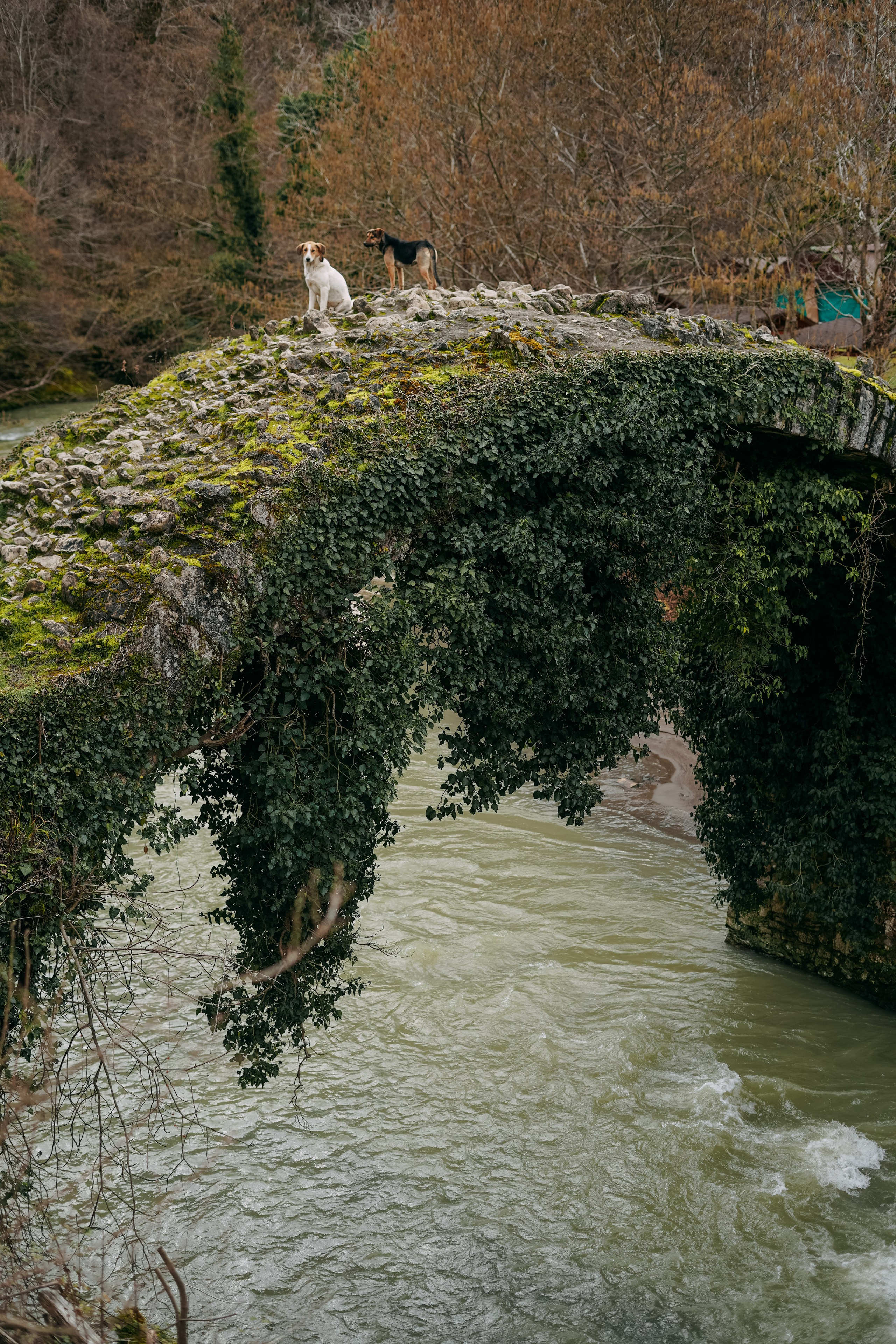 Сухум и окрестности