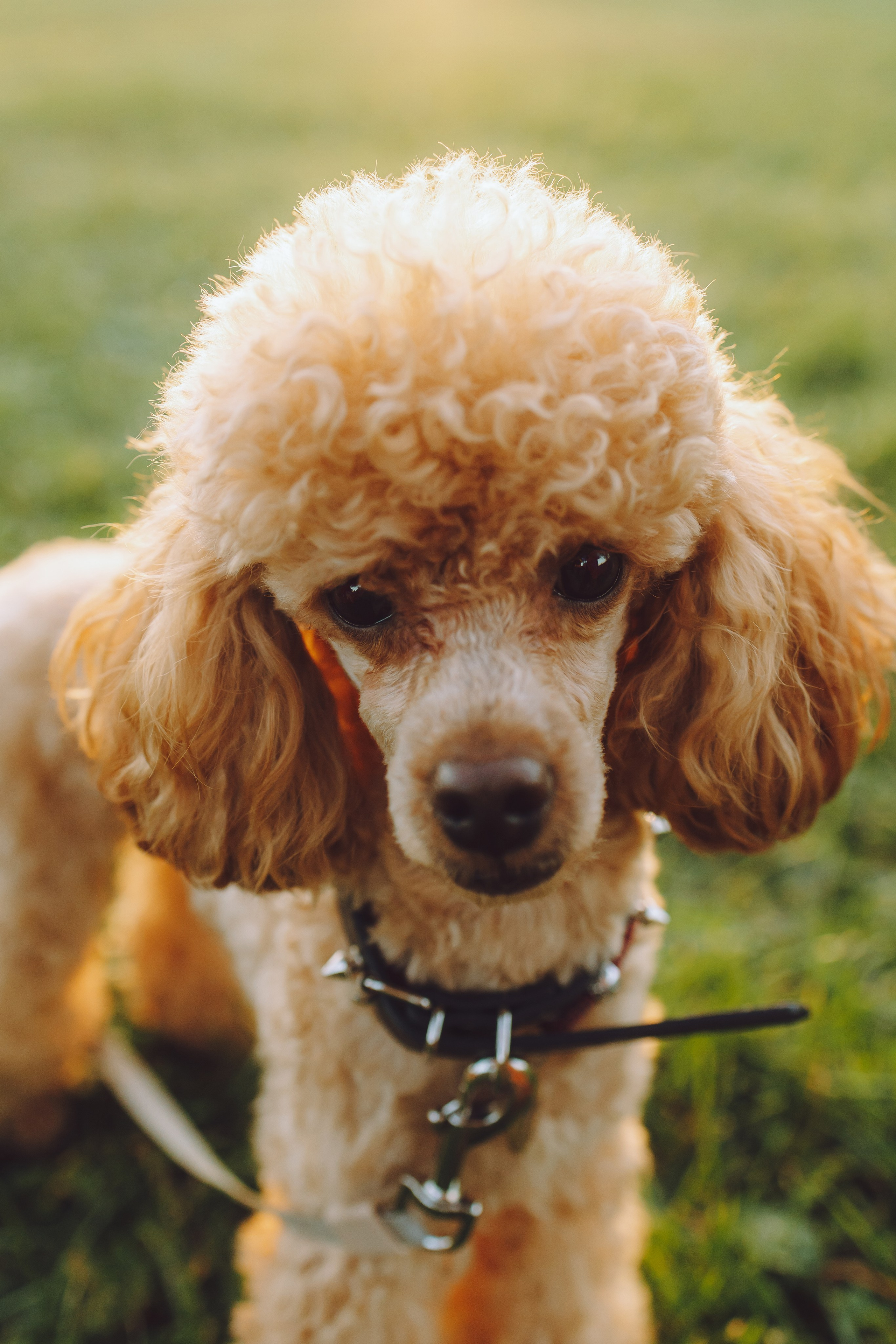 Кристина и все-все