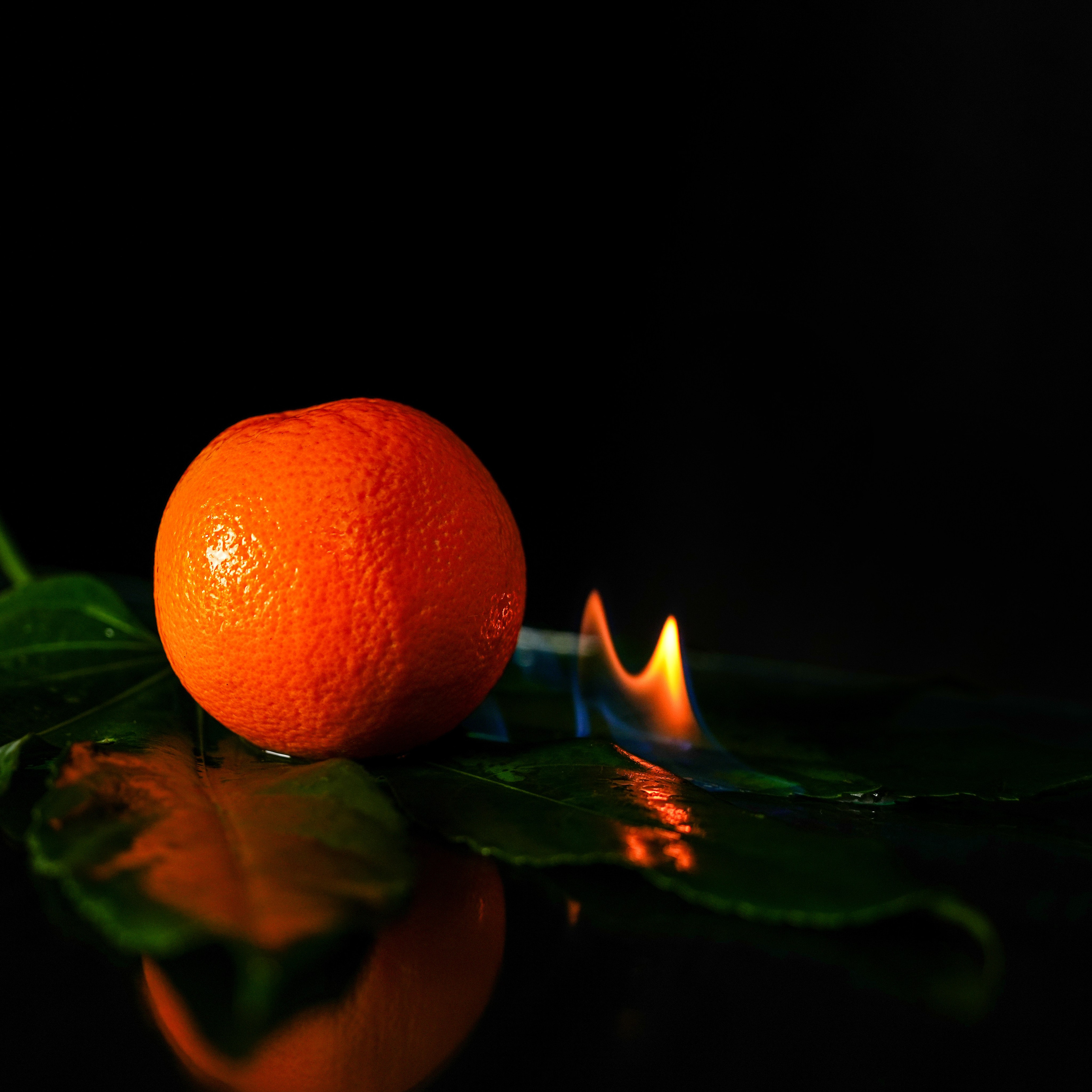 Предметная фотосъёмка. Фотограф, видеооператор Нина Коршунова