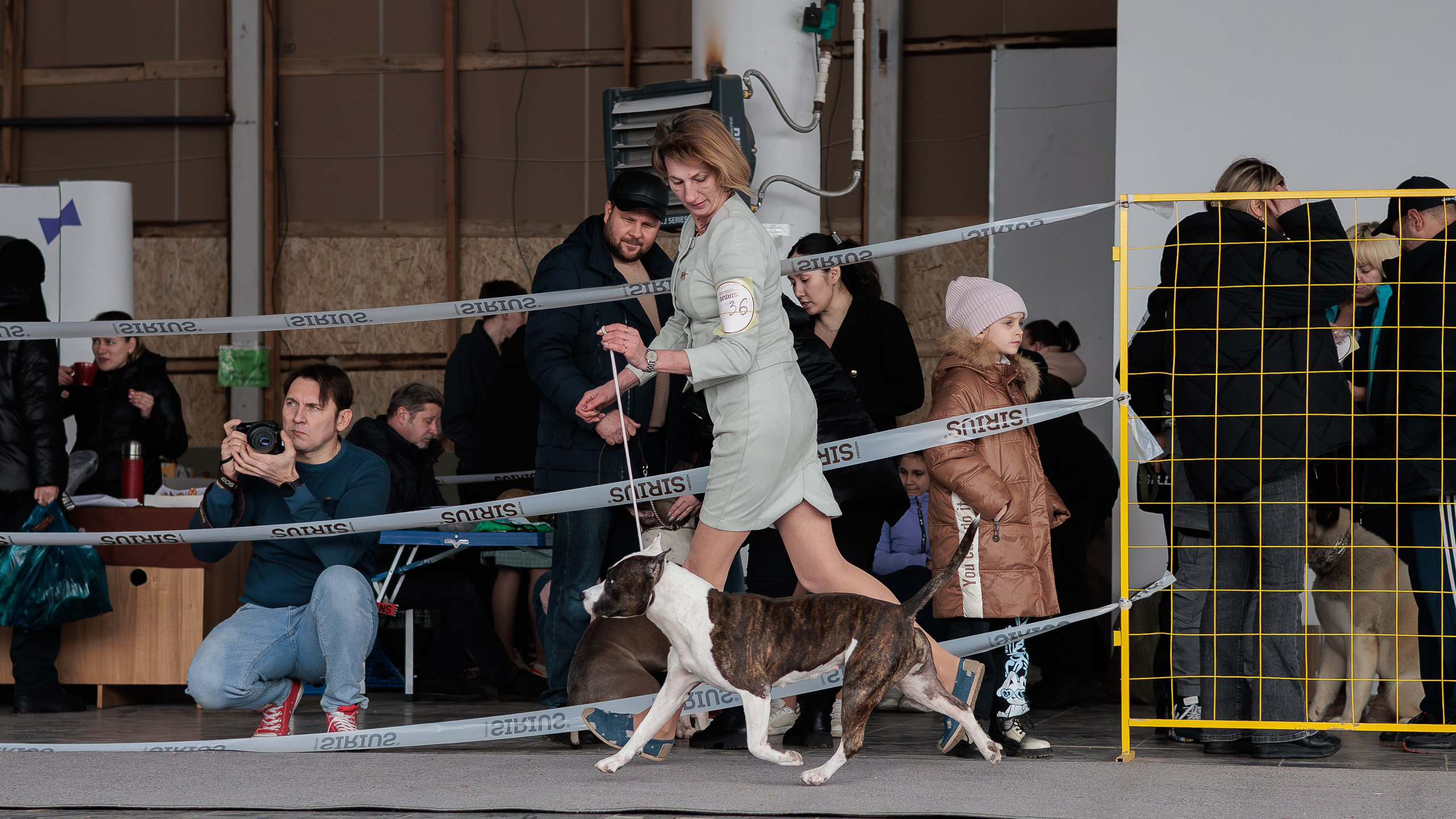 Выставки. Фотограф Марк Файзулин