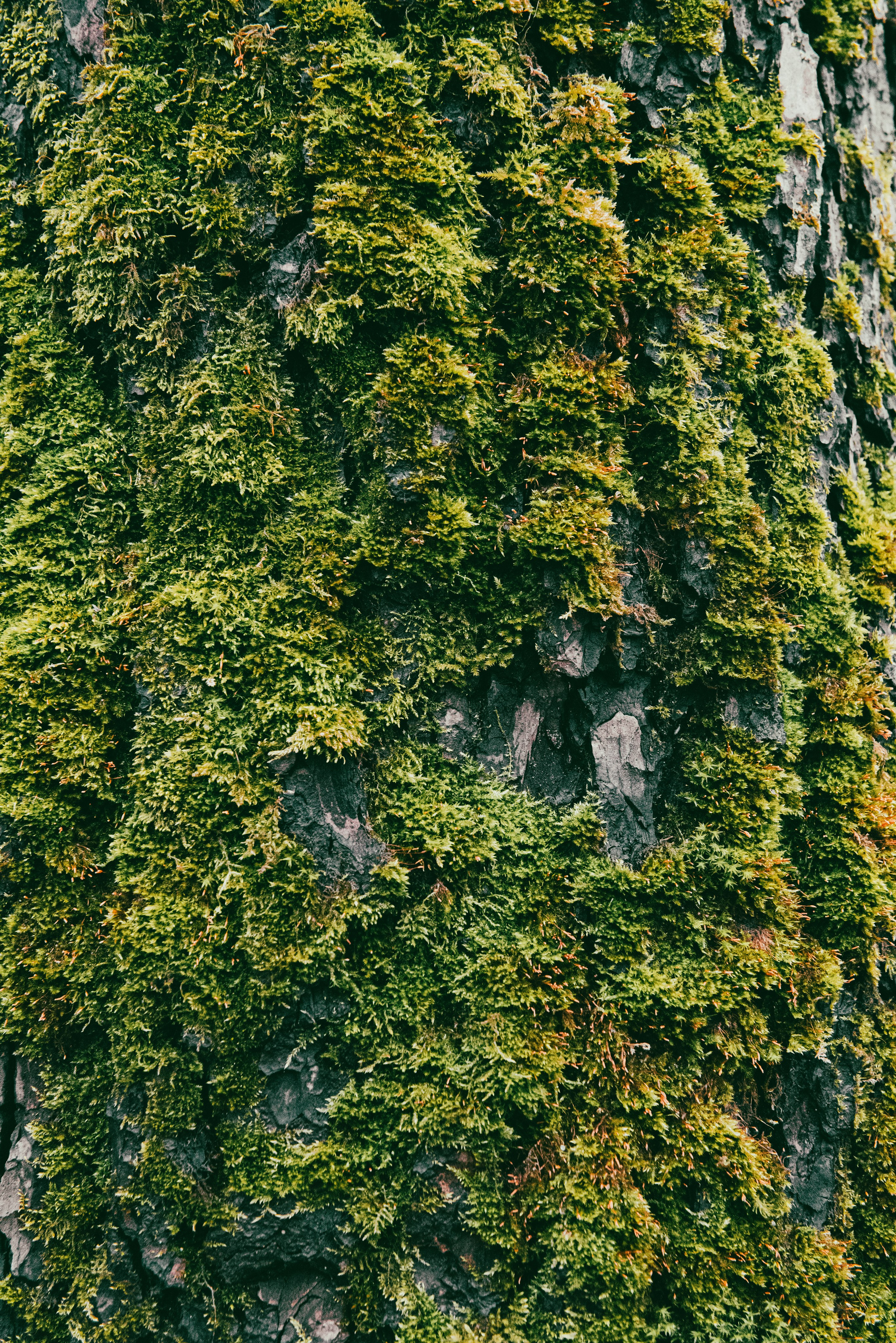 Текстуры апреля. Портретный и архитектурный фотограф в Москве и Санкт-Петербурге