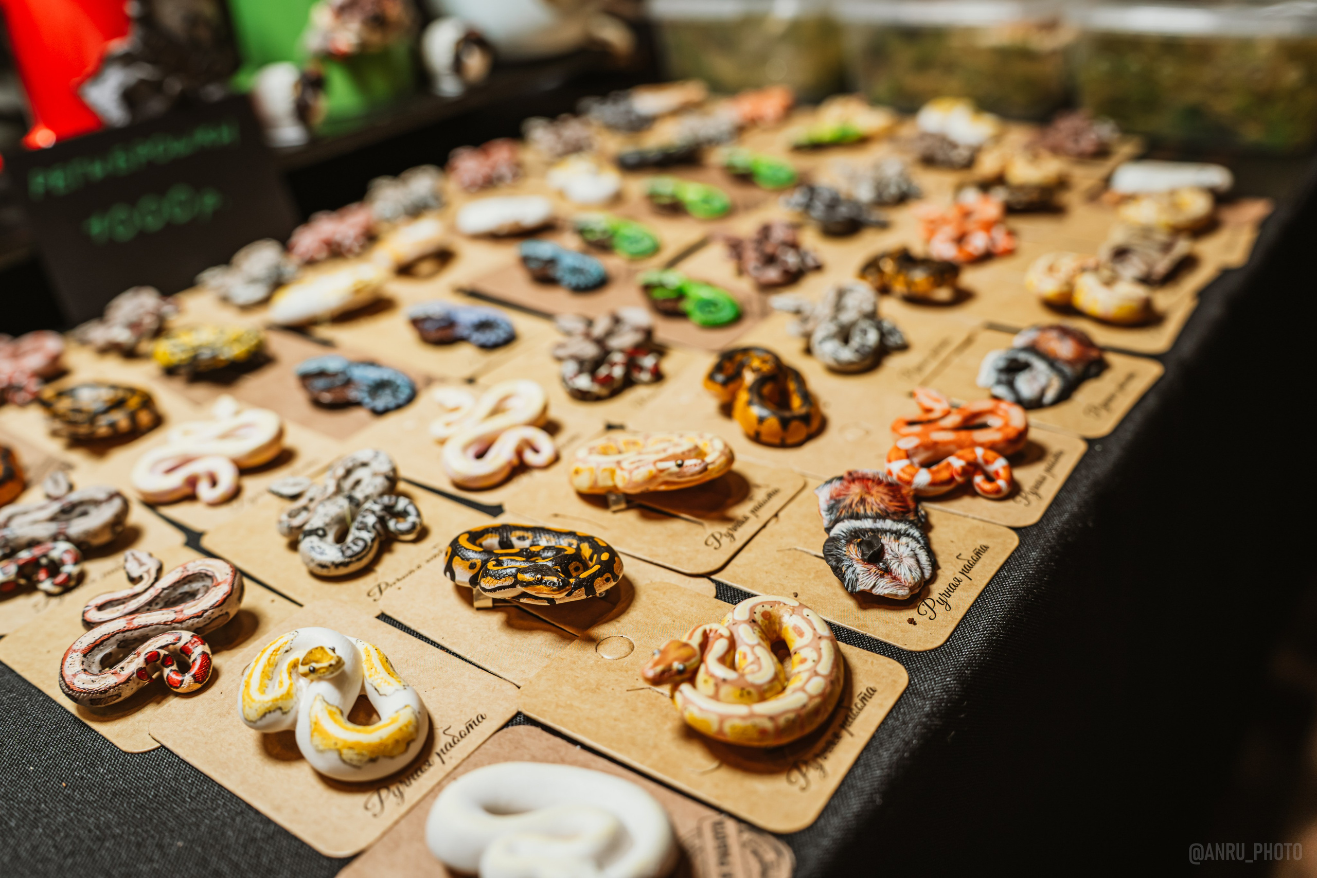 Рептилиум (ручная работа). Репортажный фотограф Анастасия Рубцова