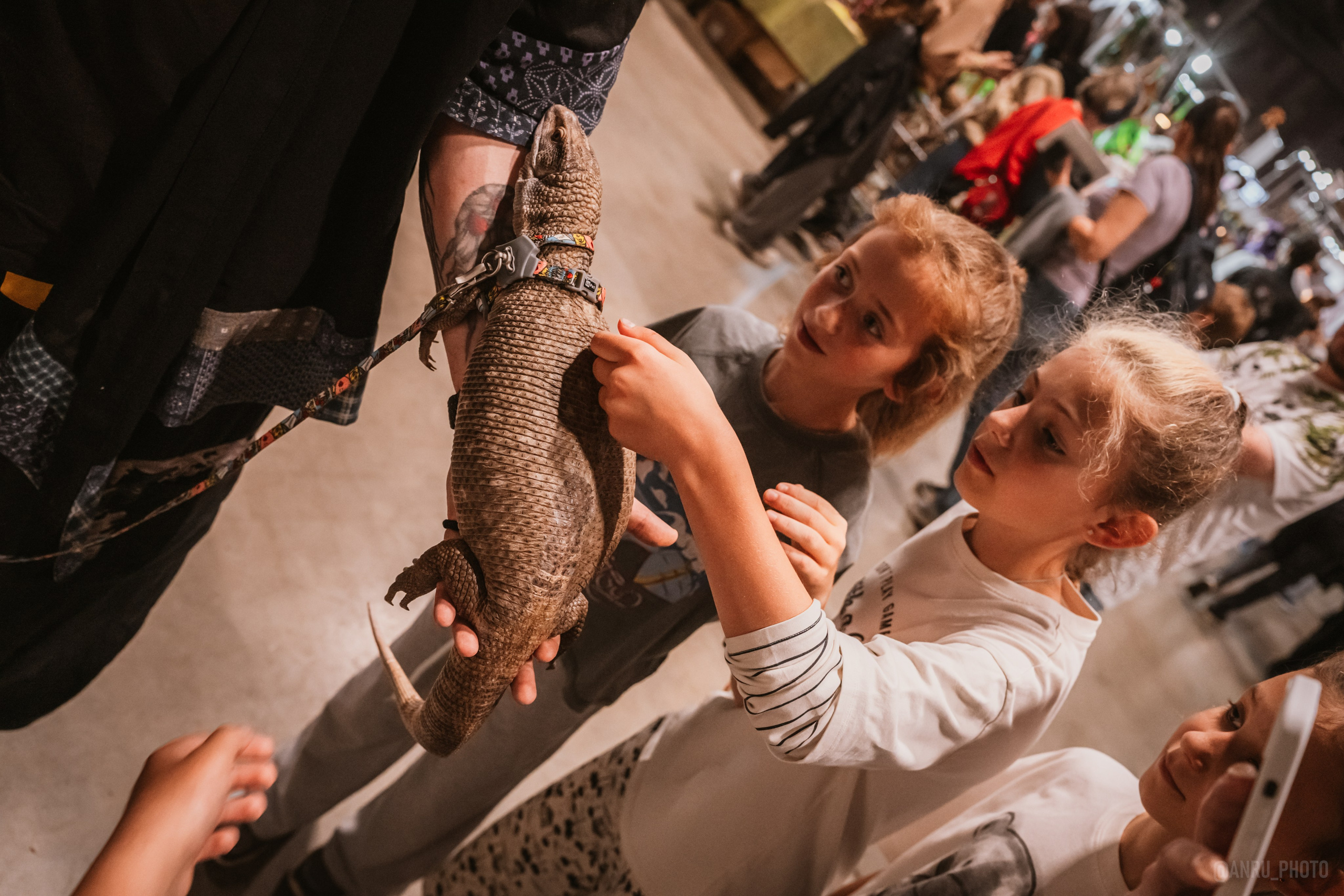 Рептилиум. Репортажный фотограф Анастасия Рубцова