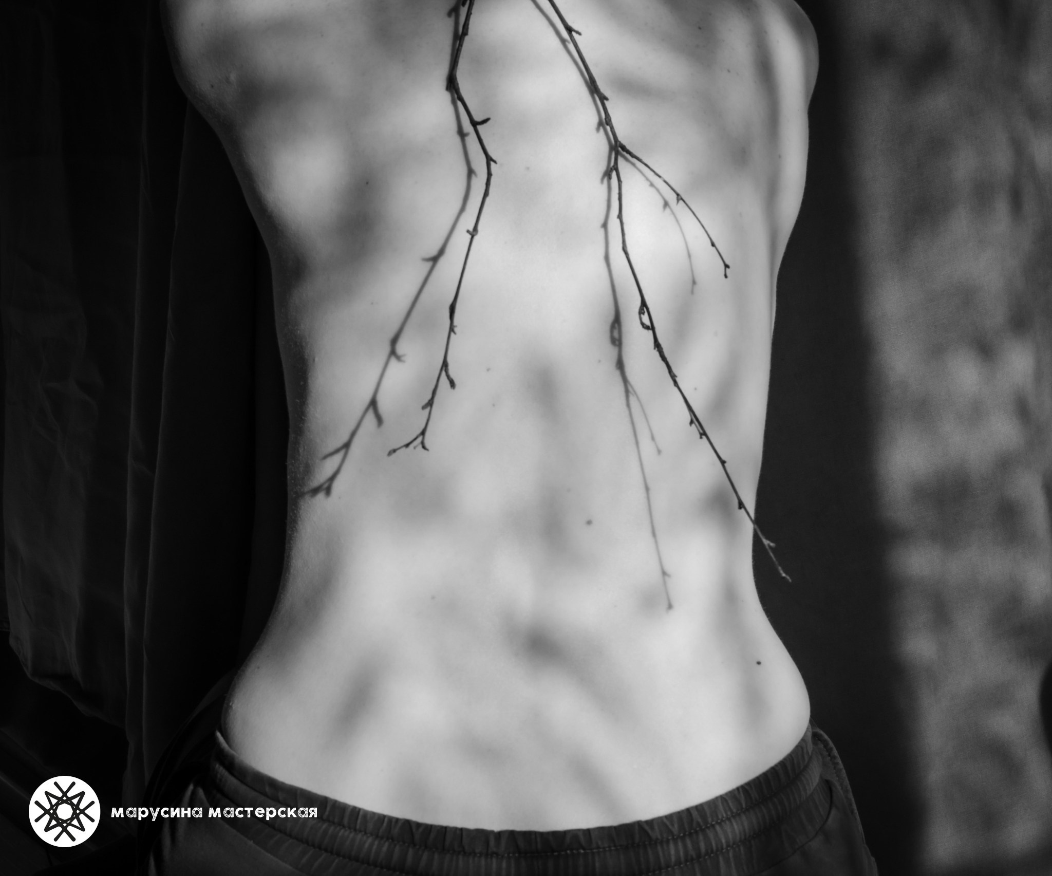 Наталья Питиримова