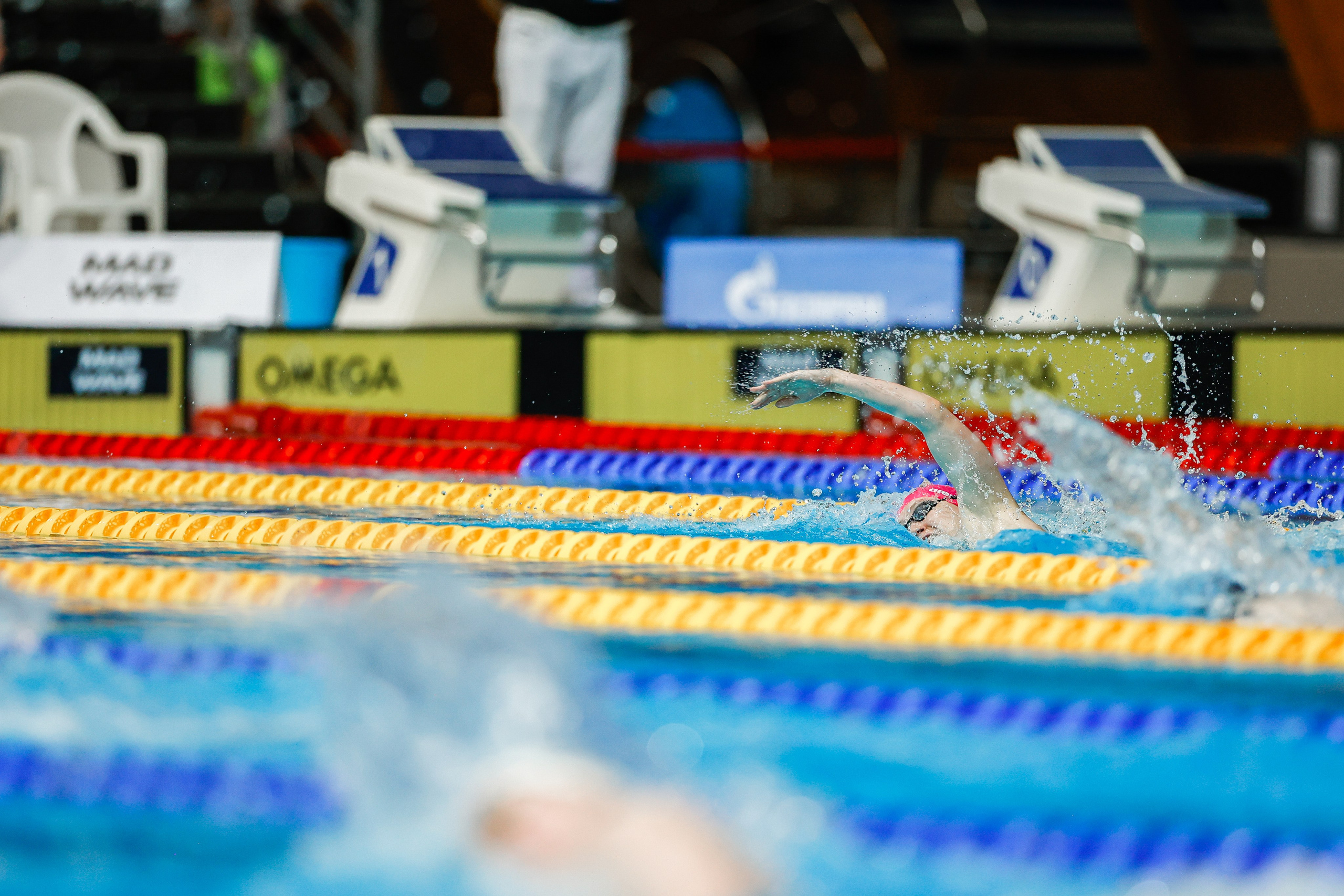 Чемпионат России по плаванию 2023. Спортивный репортажный фотограф Казань Нафис Сиразетдинов