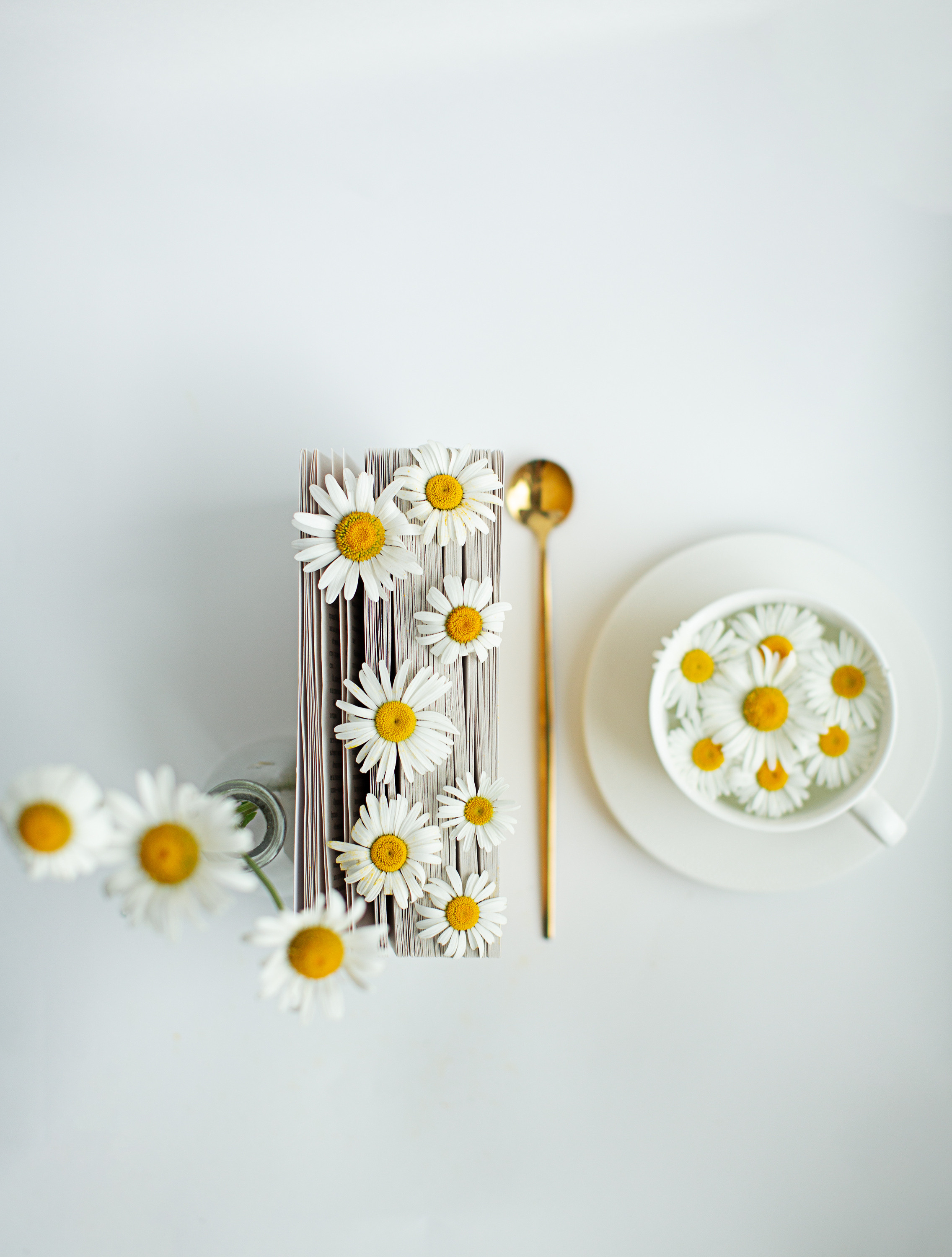 Предметная съемка. Фотограф Якимова Евгения