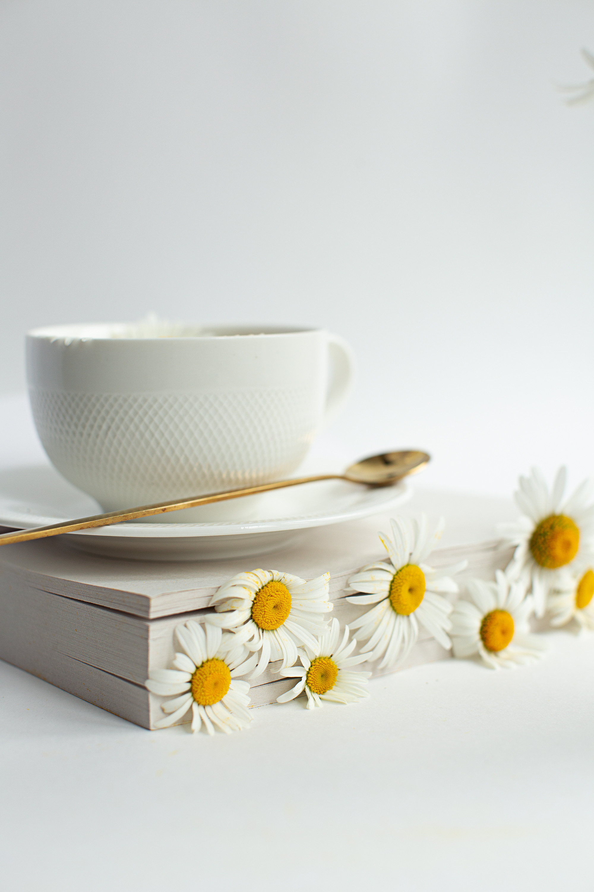 Предметная съемка. Фотограф Якимова Евгения