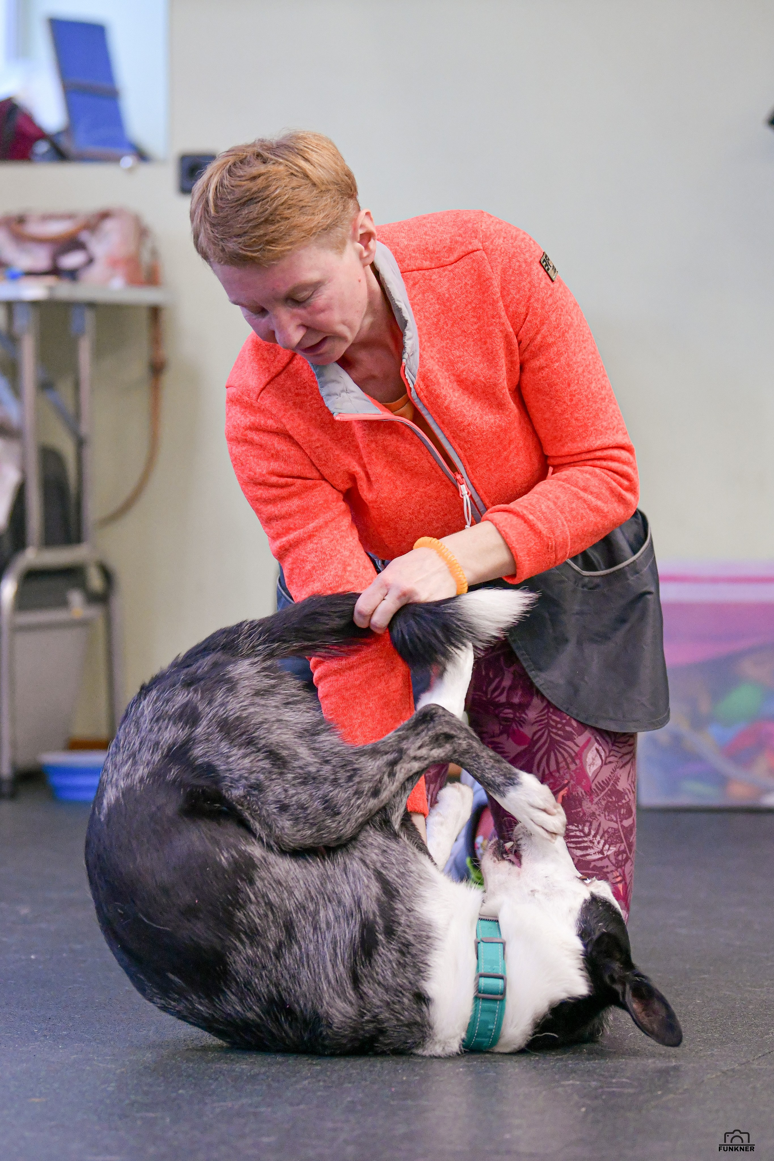 Кинологический клуб «Бодрый хвост». Свой взгляд через объектив