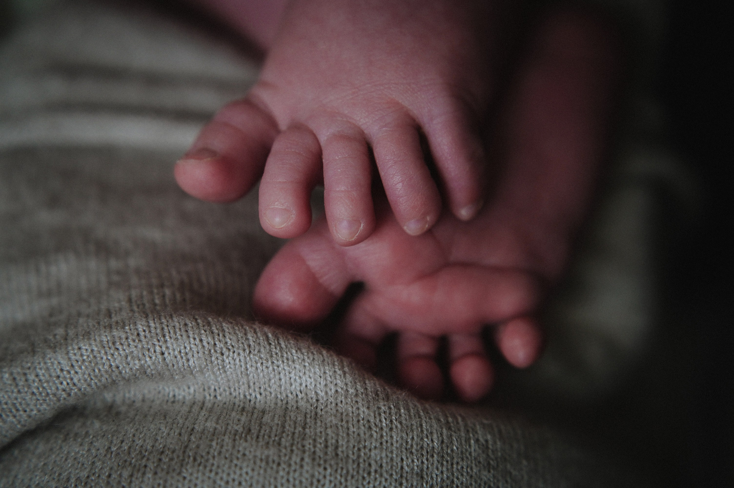 Давид. 04.02.2026. Фотограф СЕМЬИ и ДЕТСТВА в Краснодаре и Краснодарском крае Екатерина Москат