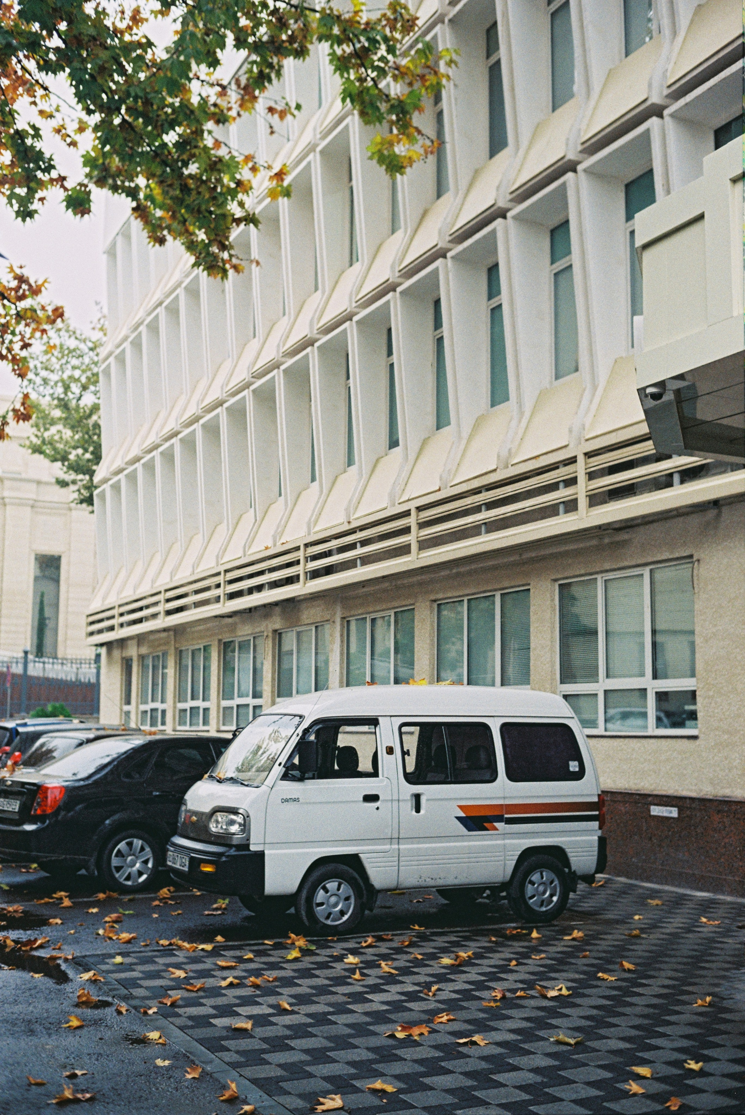 Tashkent 2022-2023. Dima Voronetsky