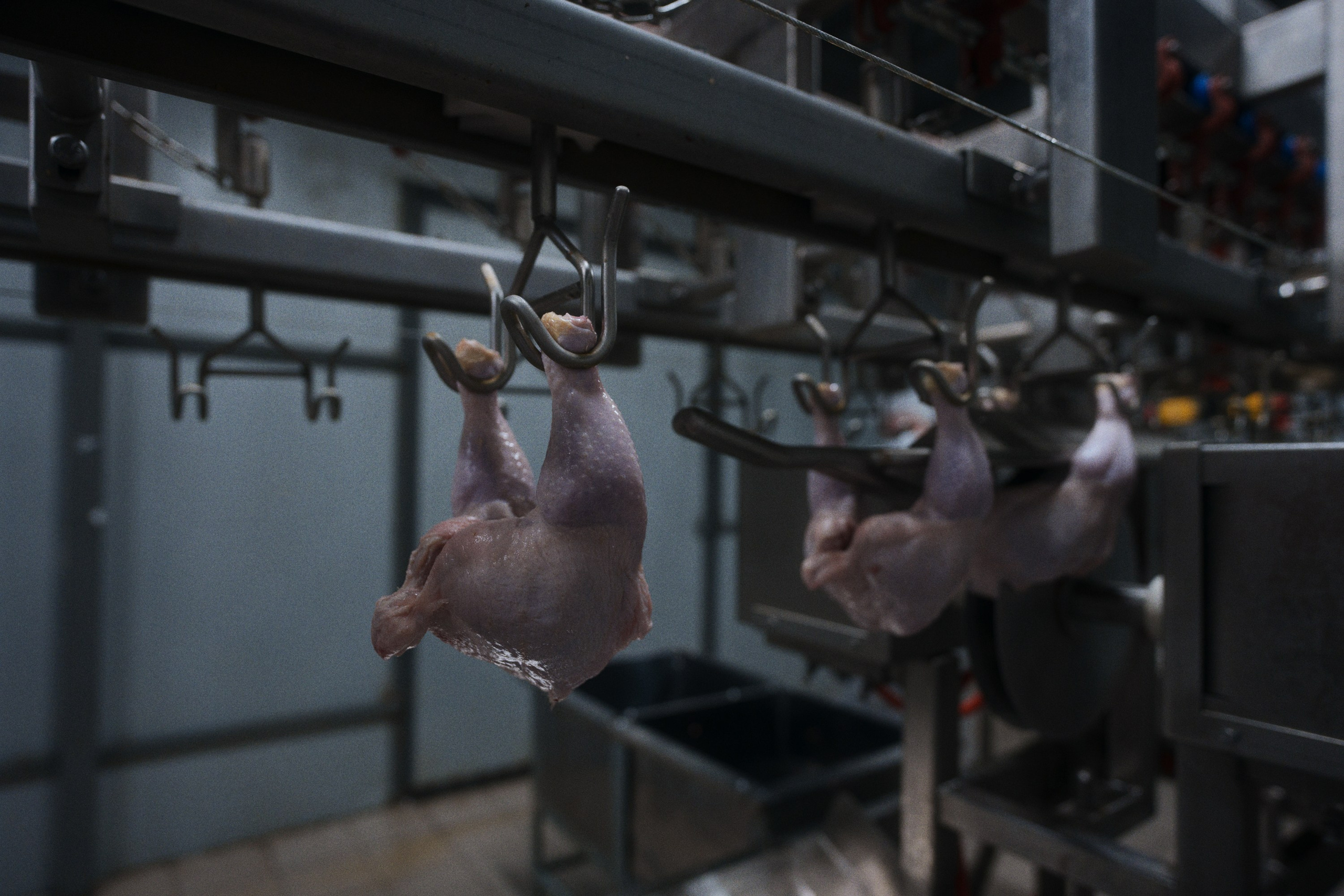 Can you tell a green field from a cold steel rail?. Фотограф Юрин Евгений