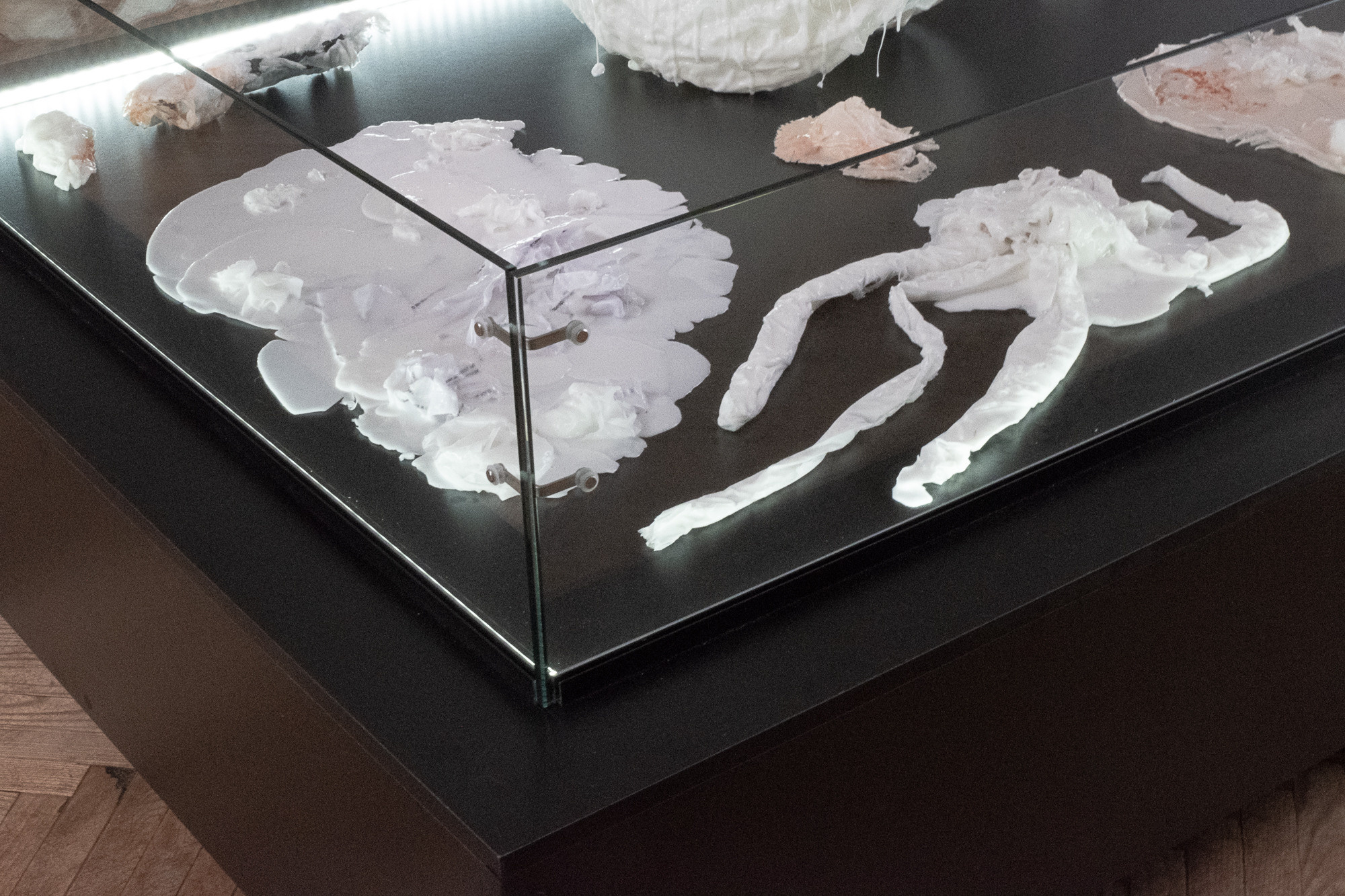 Сад Воспоминаний. Anna Zavediy