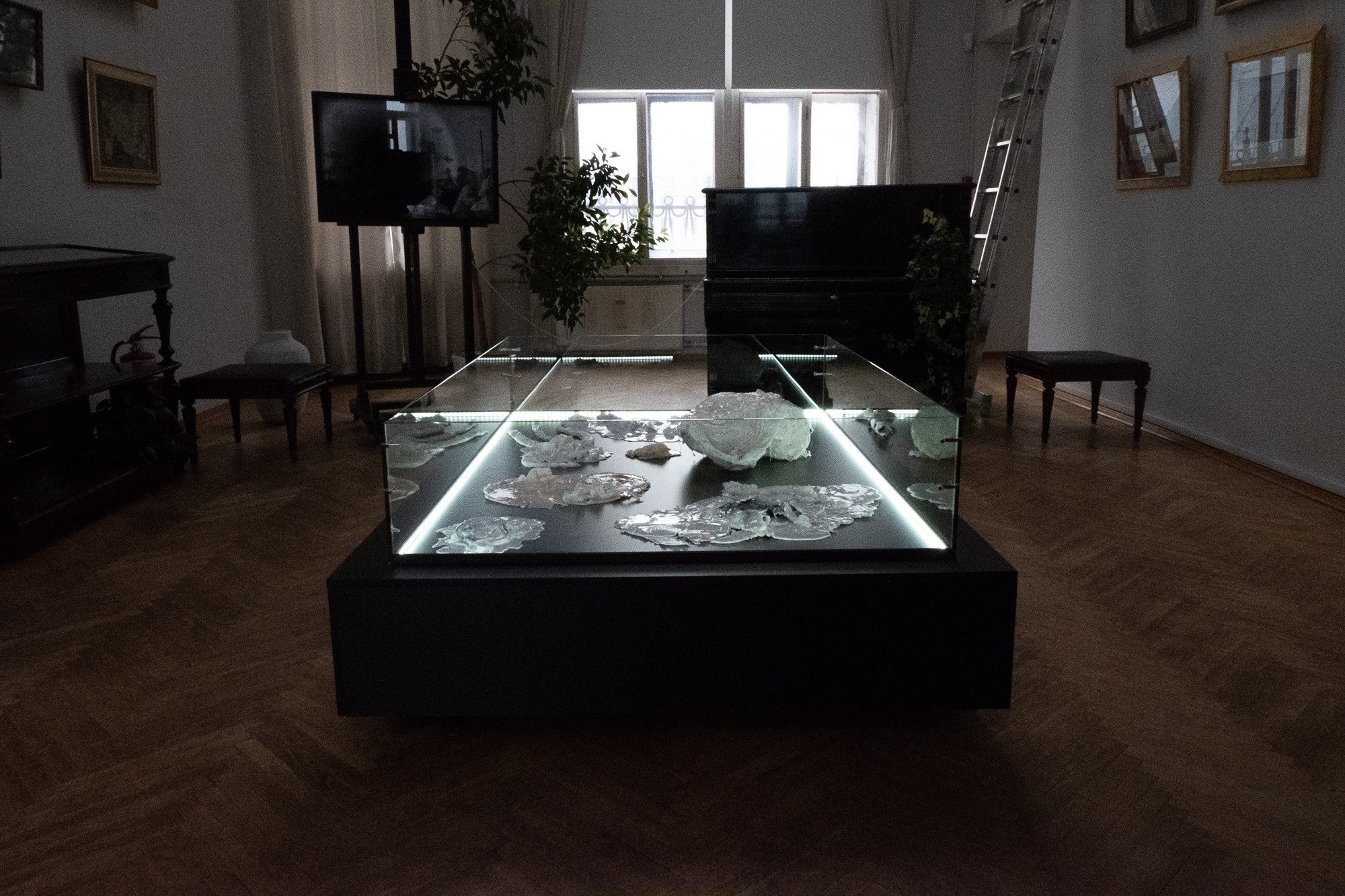 Сад Воспоминаний. Anna Zavediy