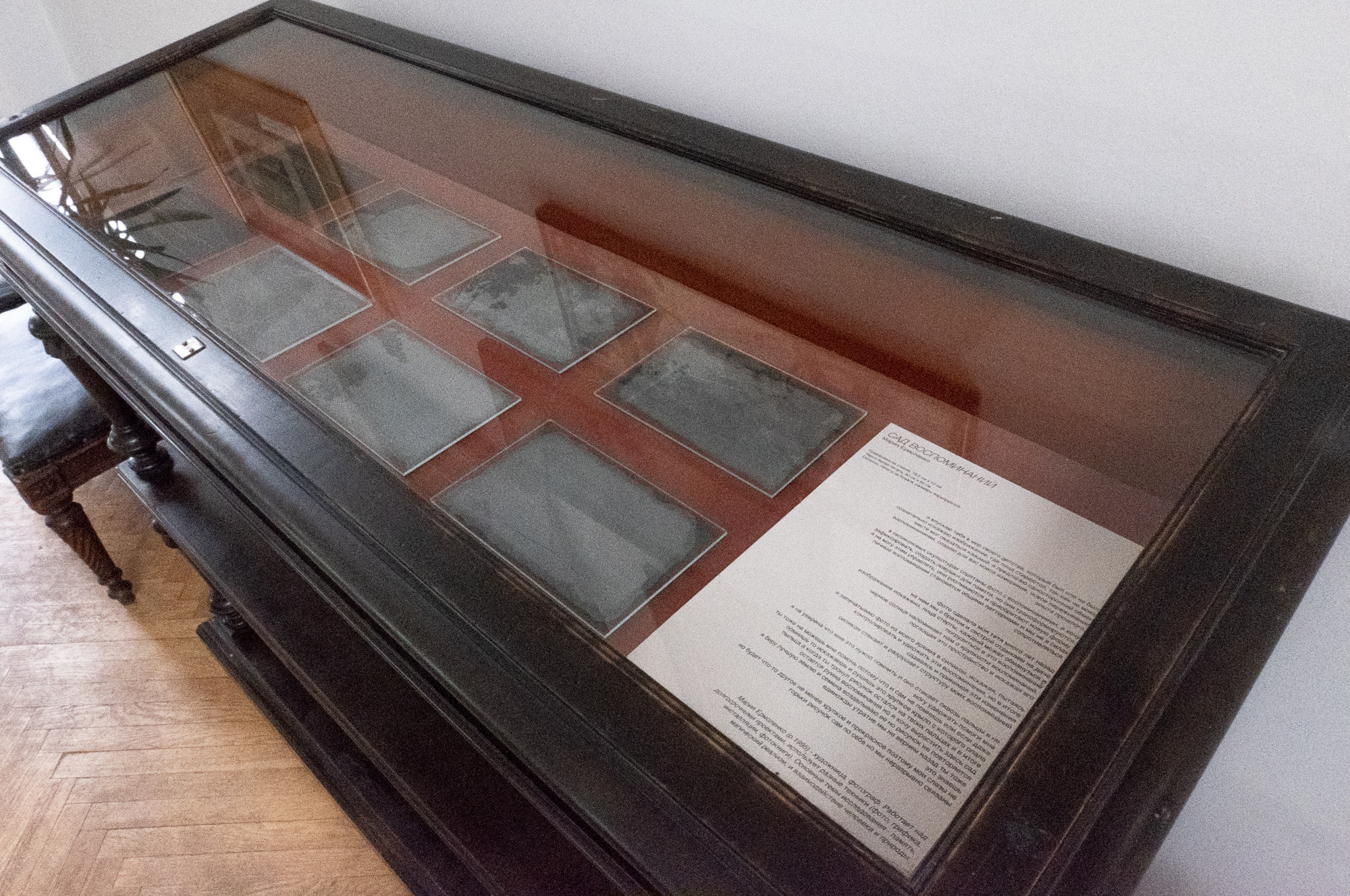 Сад Воспоминаний. Anna Zavediy