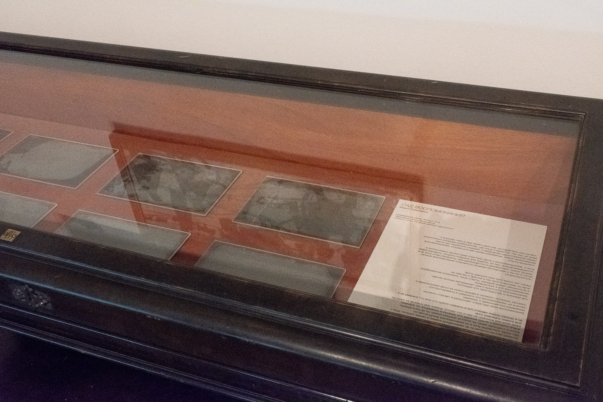 Сад Воспоминаний. Anna Zavediy