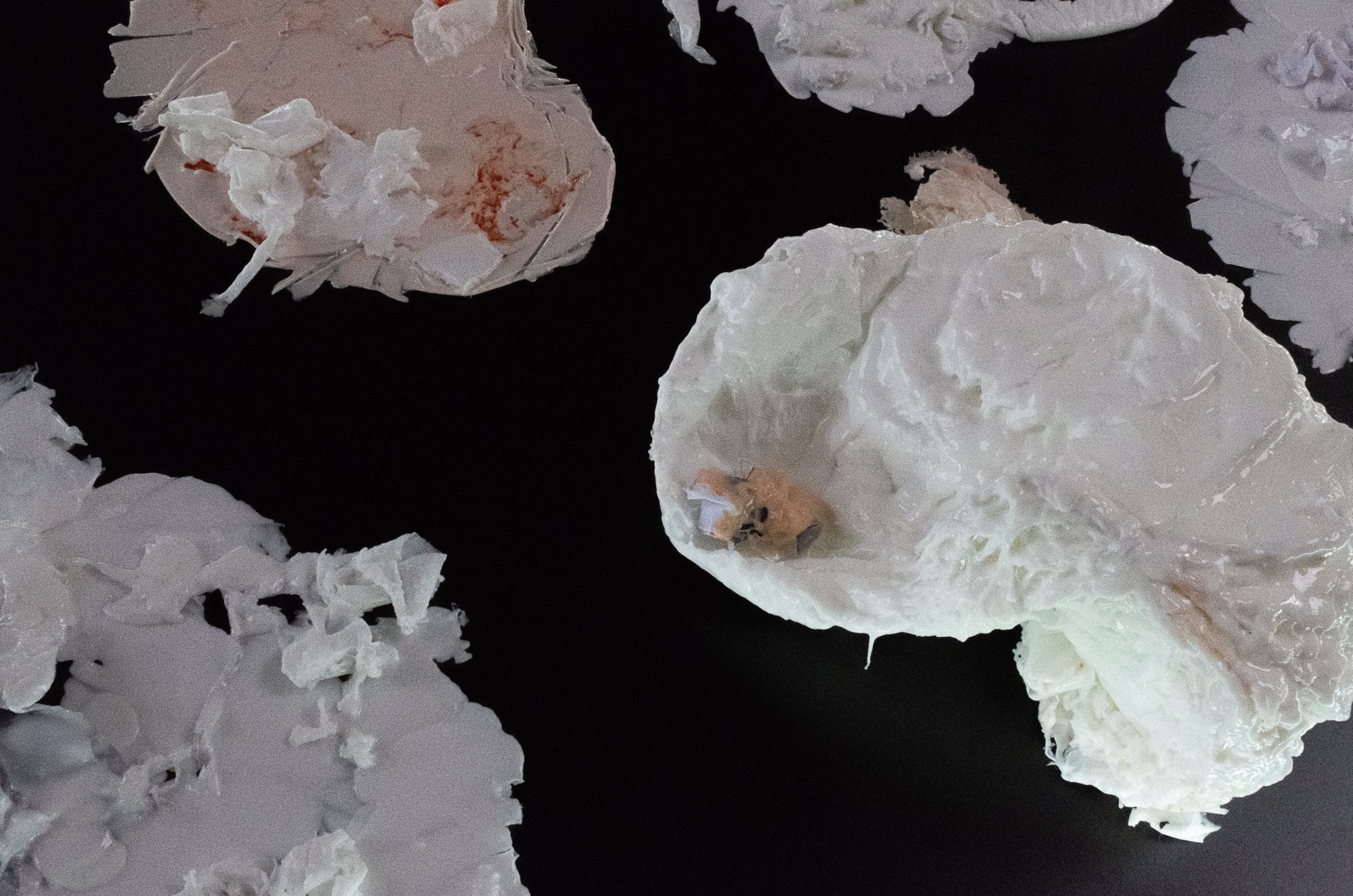 Сад Воспоминаний. Anna Zavediy