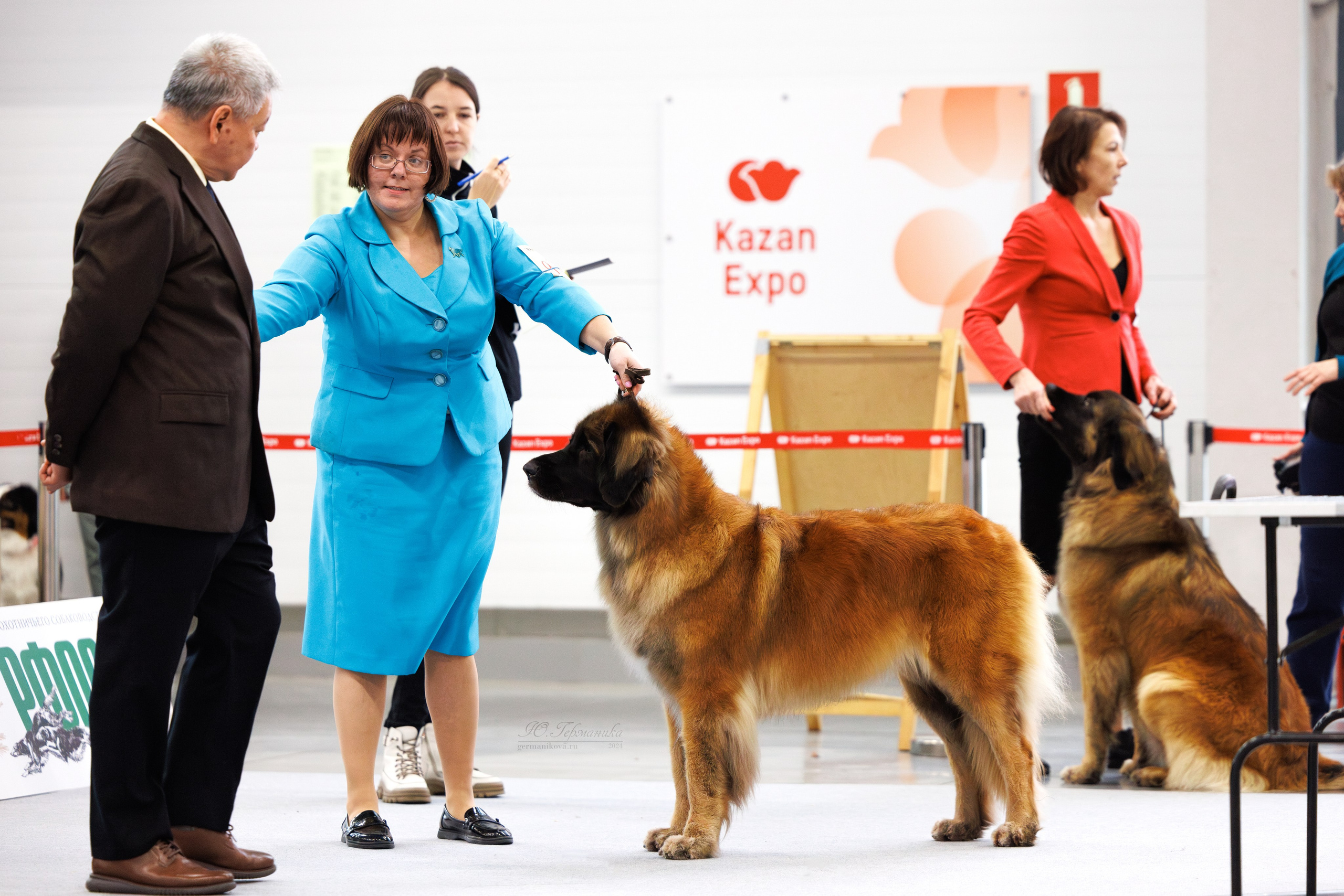 Казань Зилант 30-01.12 2024. Фотограф-анималист Юлия Германика