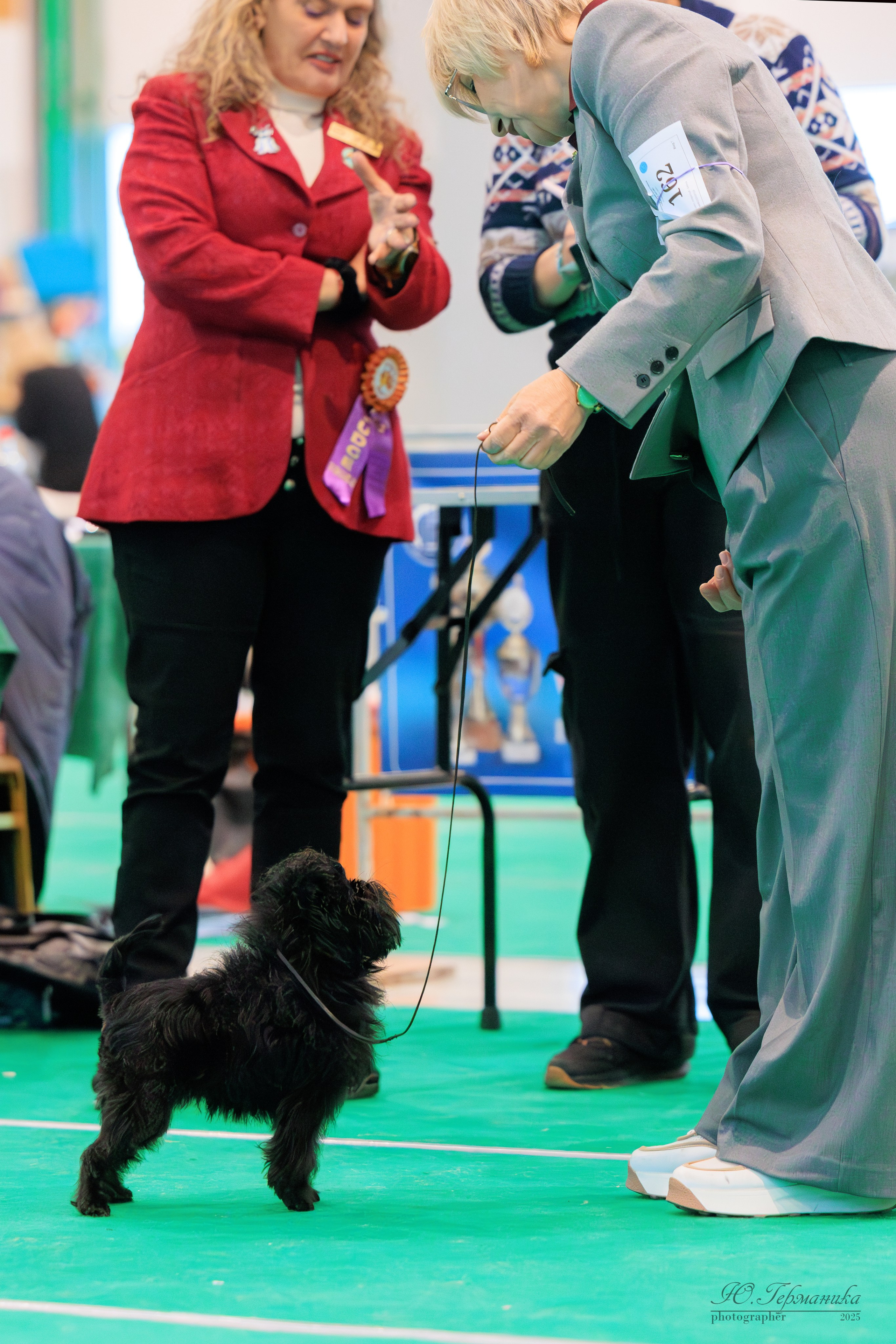 Минск 1-2.03.2025. Фотограф-анималист Юлия Германика