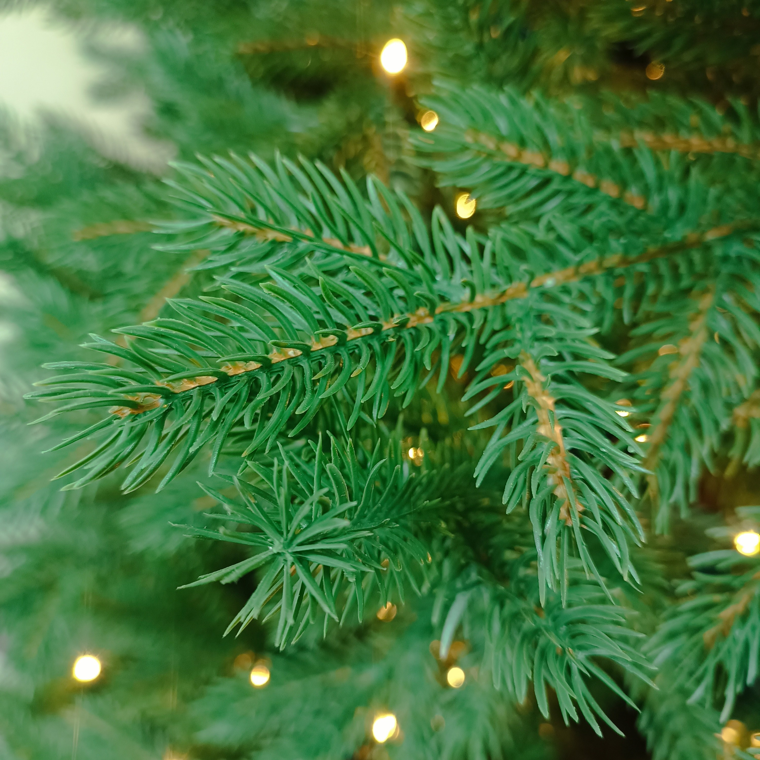 ВЕРСАЛЬСКАЯ с огоньками. Elki_grodno