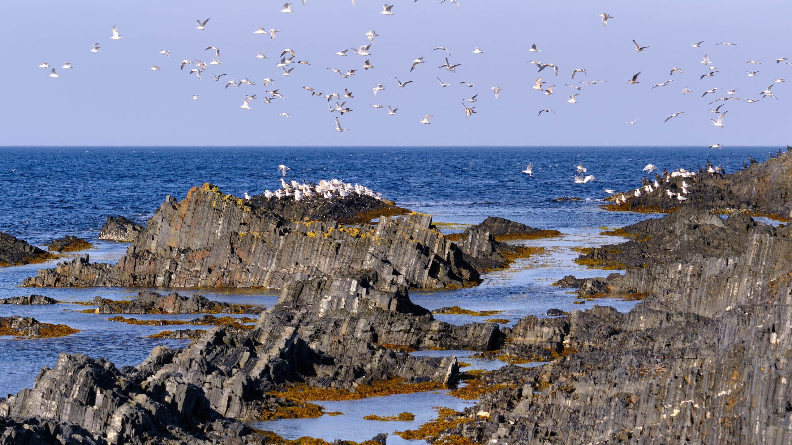 Баренцево море. Пейзажи Крайнего Севера. Баренцево море, Рыбачий, Средний, Немецкий