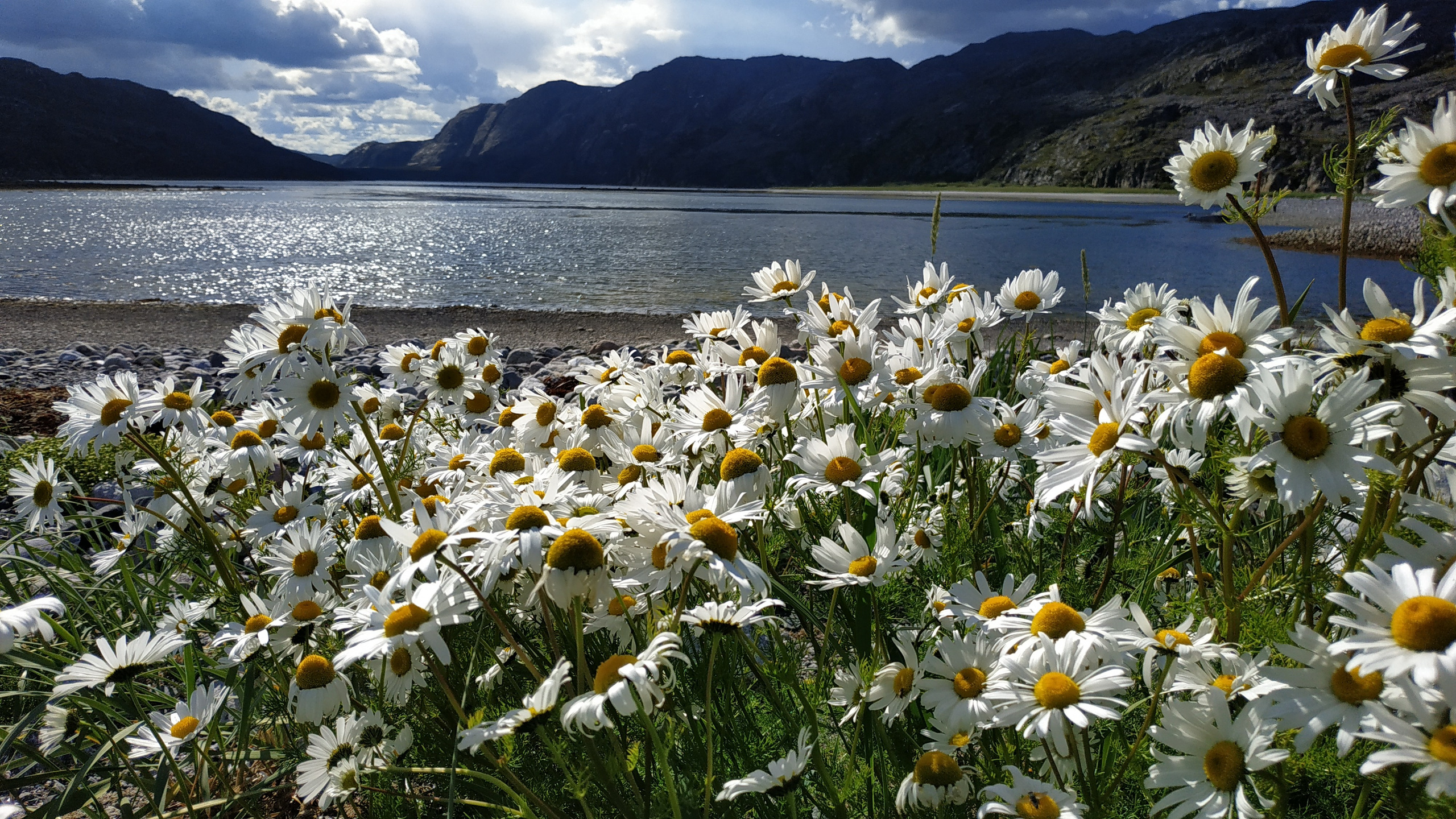 Фиорд Долгая щель. Пейзажи Крайнего Севера. Баренцево море, Рыбачий, Средний, Немецкий