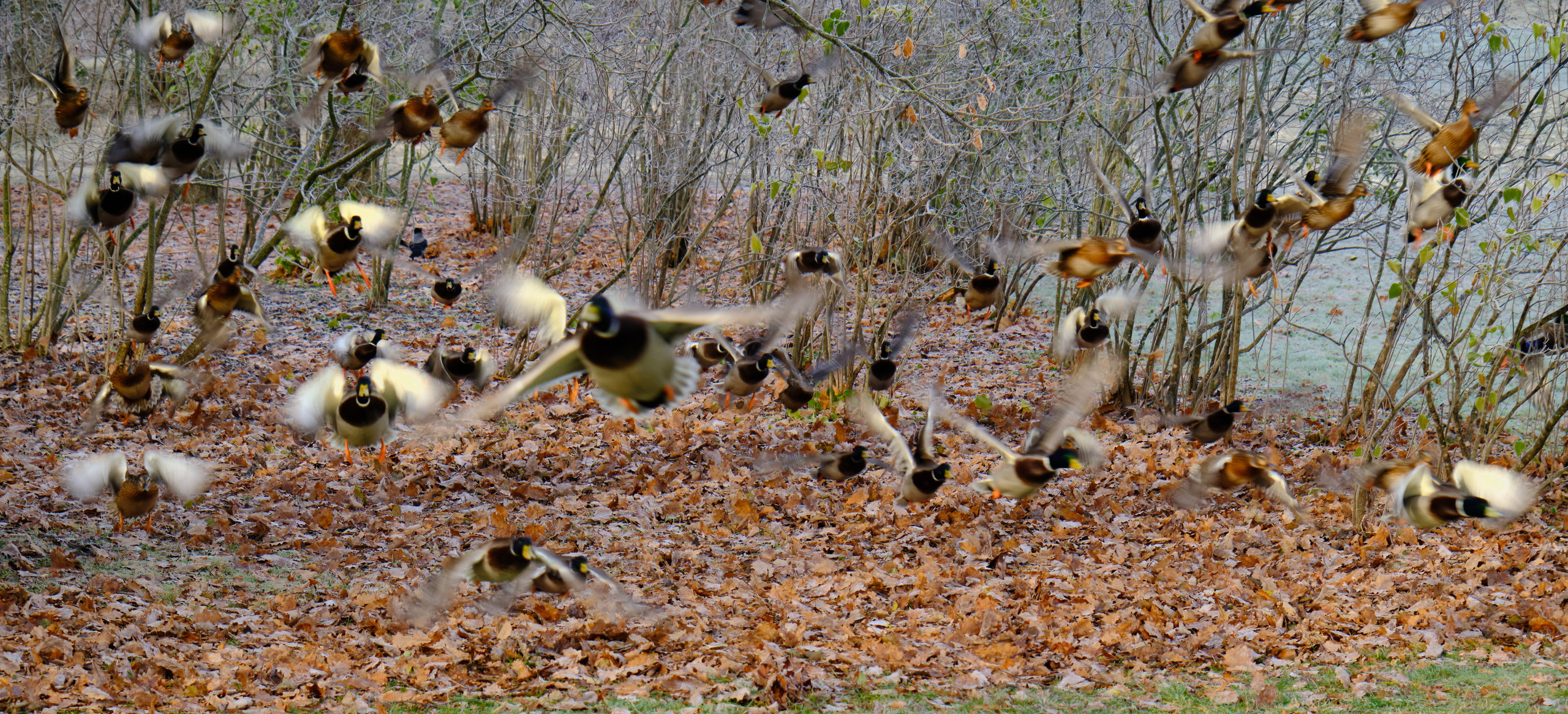 Времена года. Пейзажи Крайнего Севера. Баренцево море, Рыбачий, Средний, Немецкий