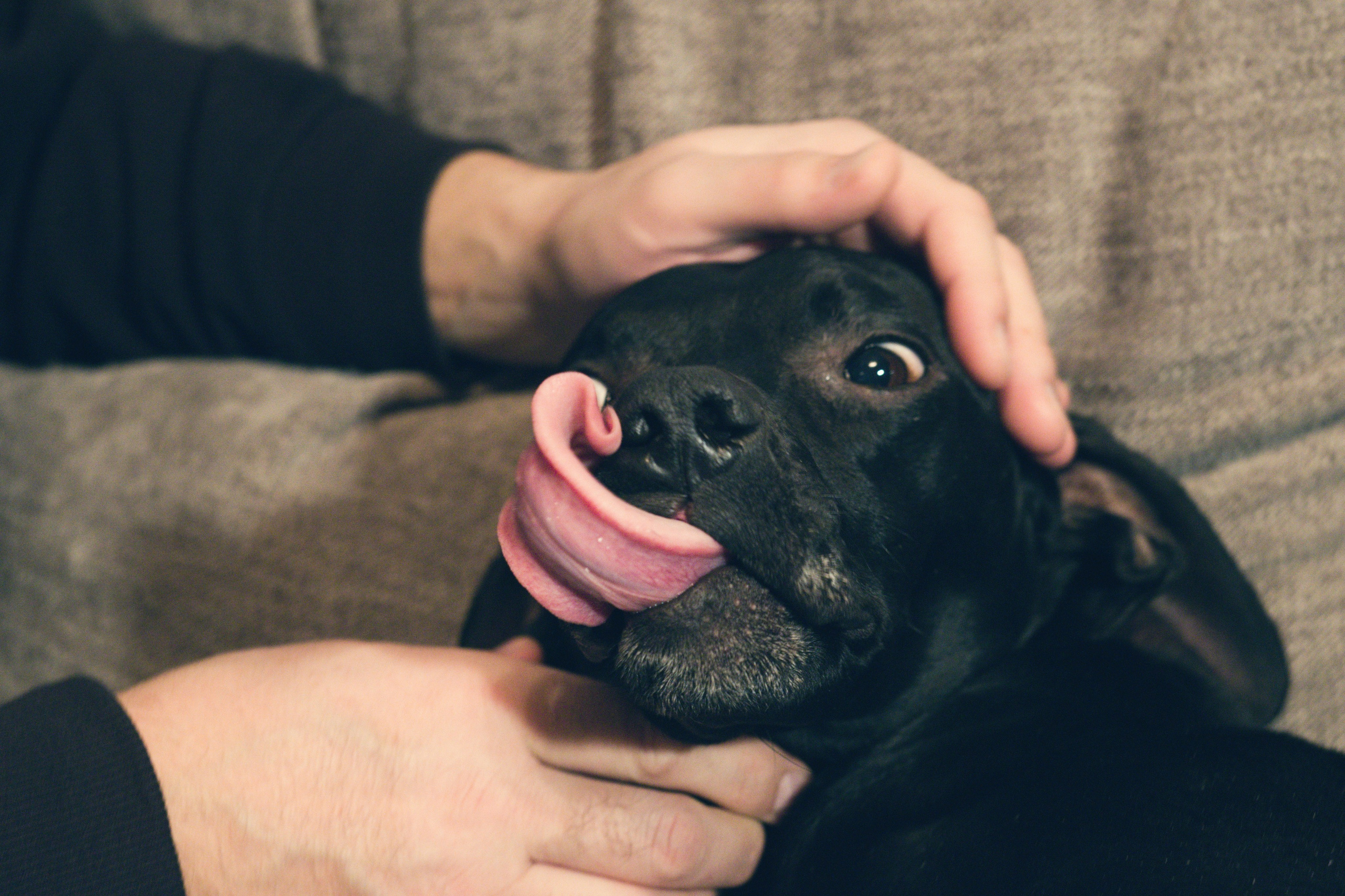Чина и её люди. Дмитрий Бречалов