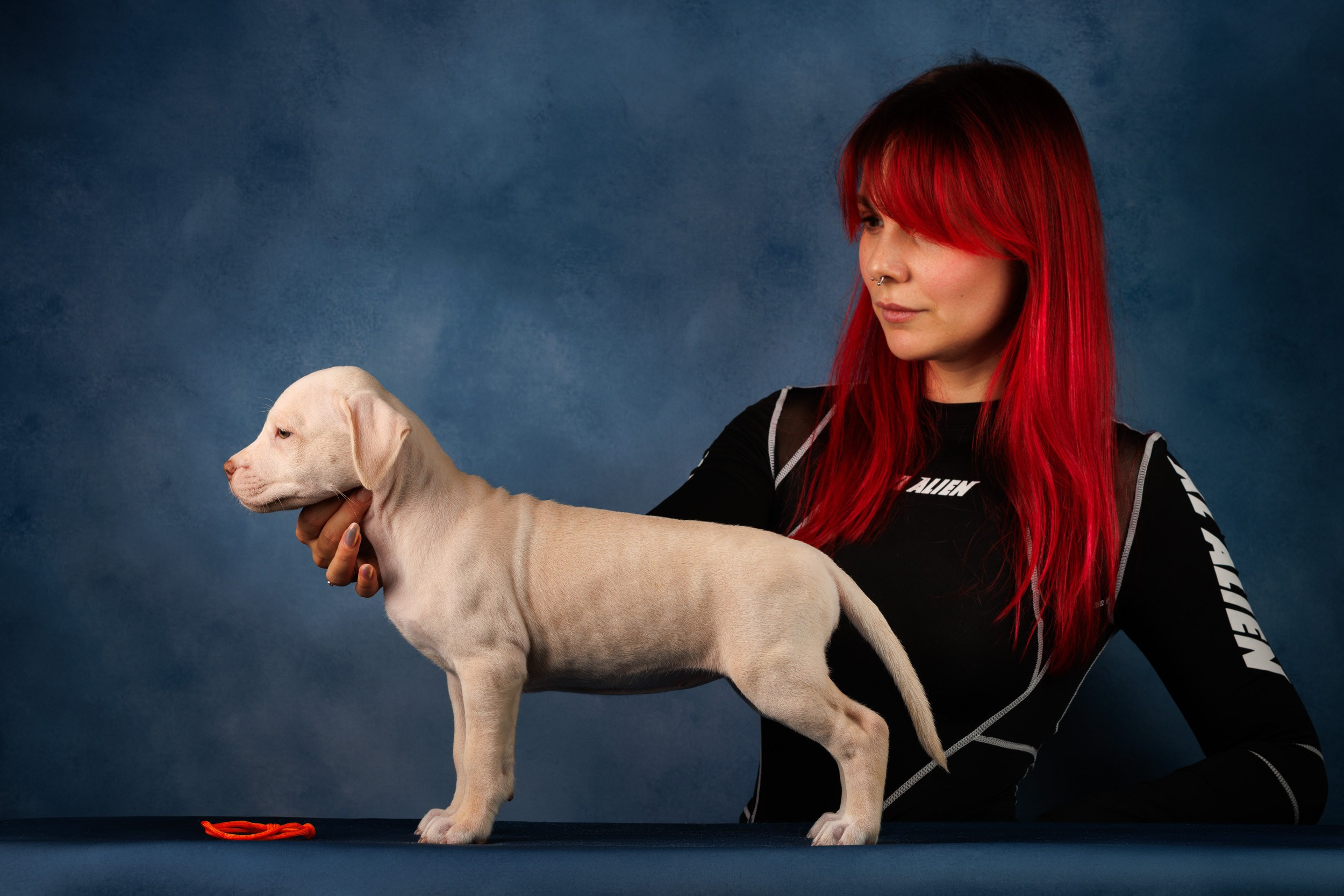 Съемка щенков АПБТ. Фотограф-анималист в Москве и Московской области Татьяна Фролова