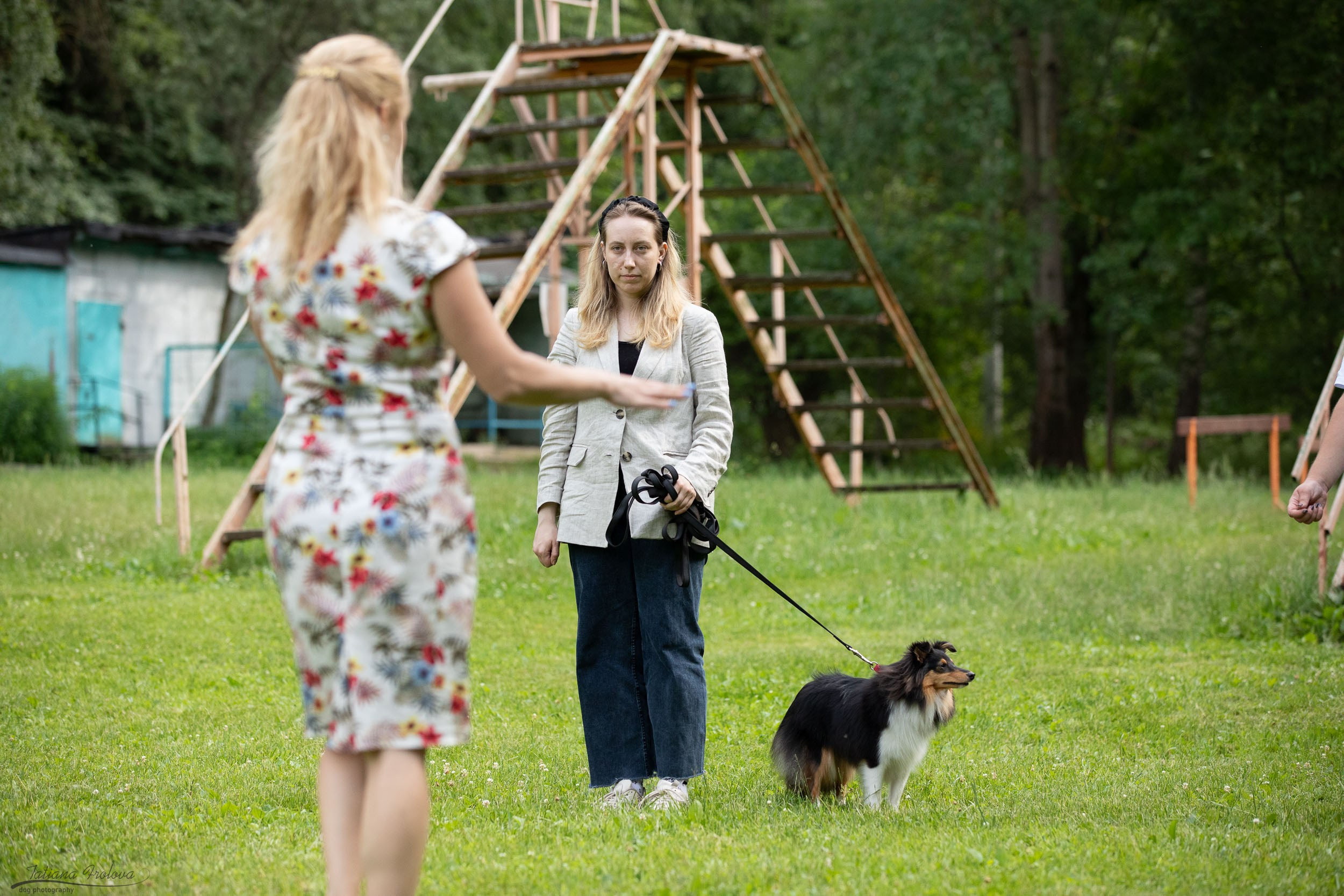 Репортаж с выводки молодняка колли/шелти в Ясенево. Фотограф-анималист в Москве и Московской области Татьяна Фролова