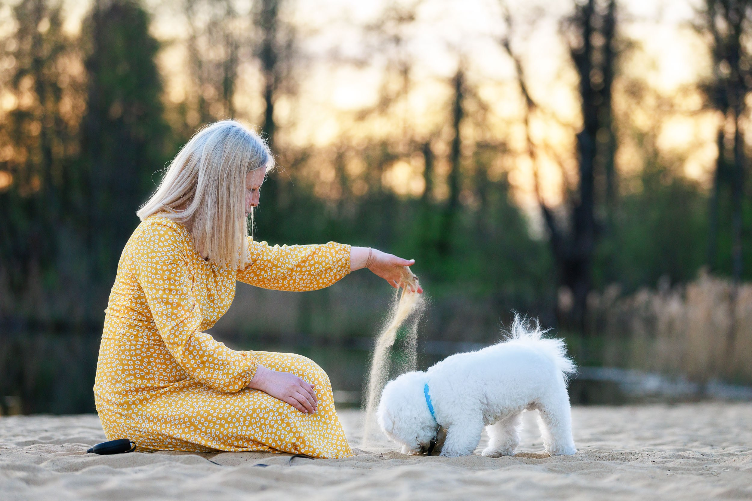 Фотосессия с тибетскими мастифами и бишон фризе. Фотограф-анималист в Москве и Московской области Татьяна Фролова