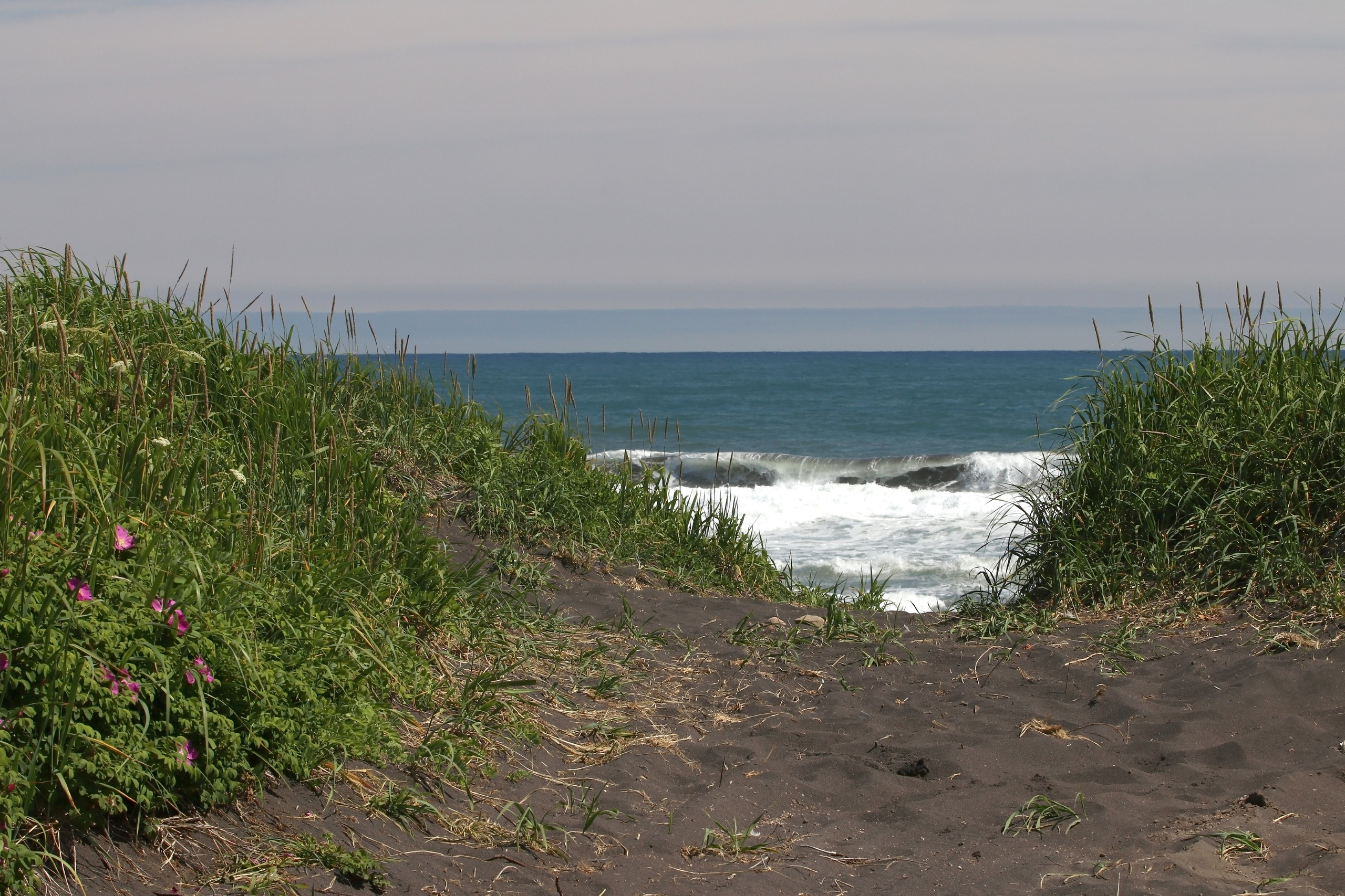 Камчатка и о. Парамушир. Июль 2024. Путешественник-фотограф из Санкт-Петербурга Татьяна Свистулина