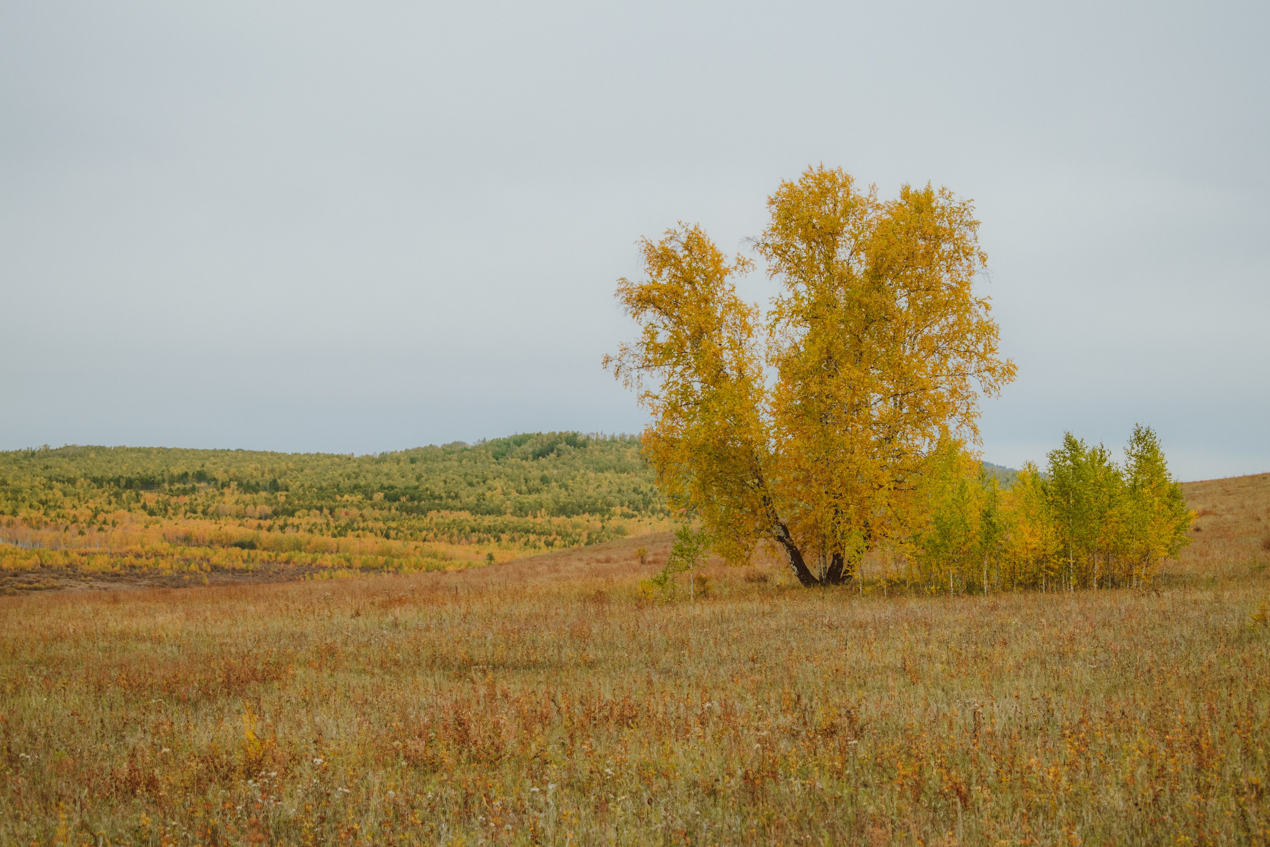 Фотограф. Шелопугино, Забайкальский край