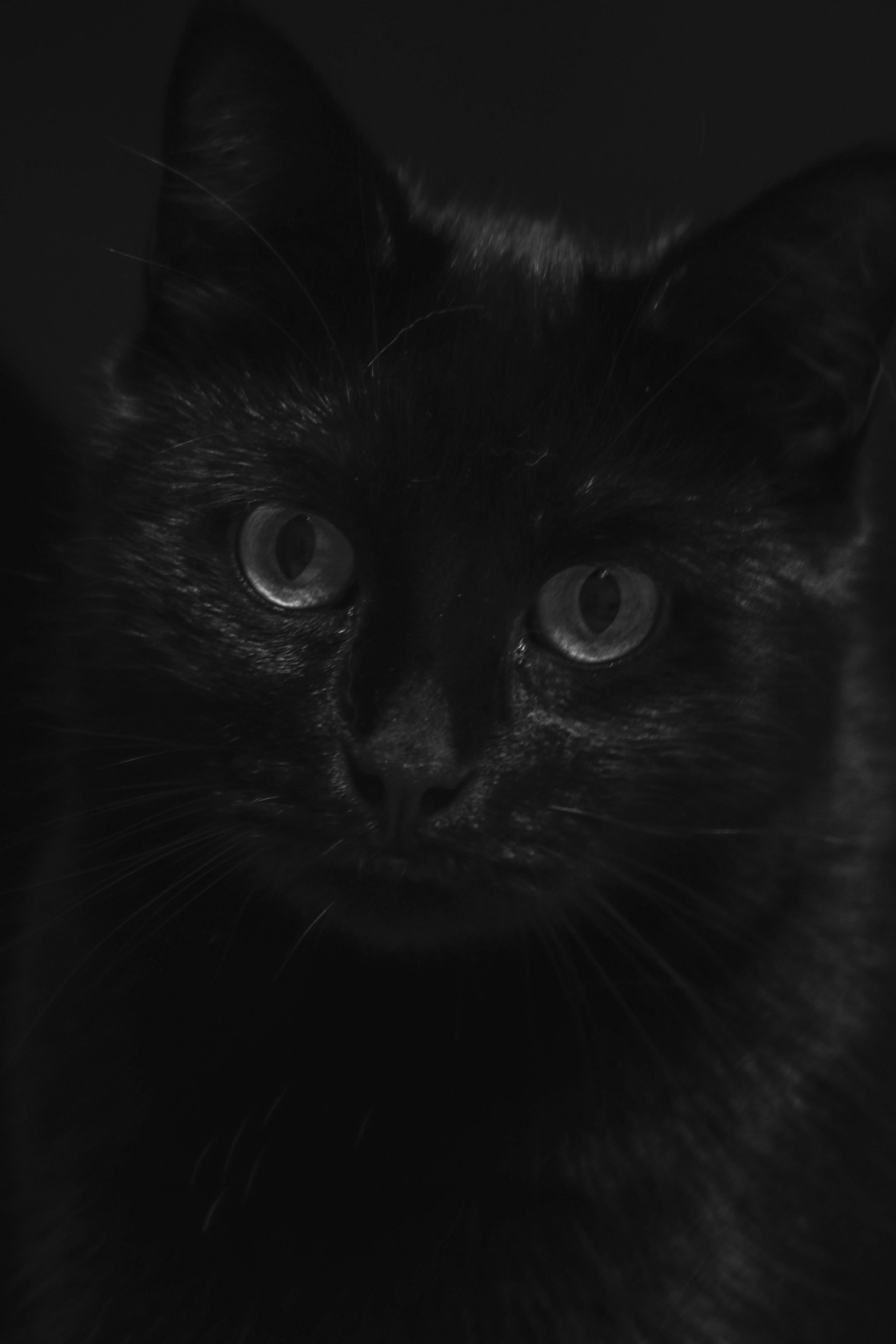 Л Ю Ц И Ф Е Р