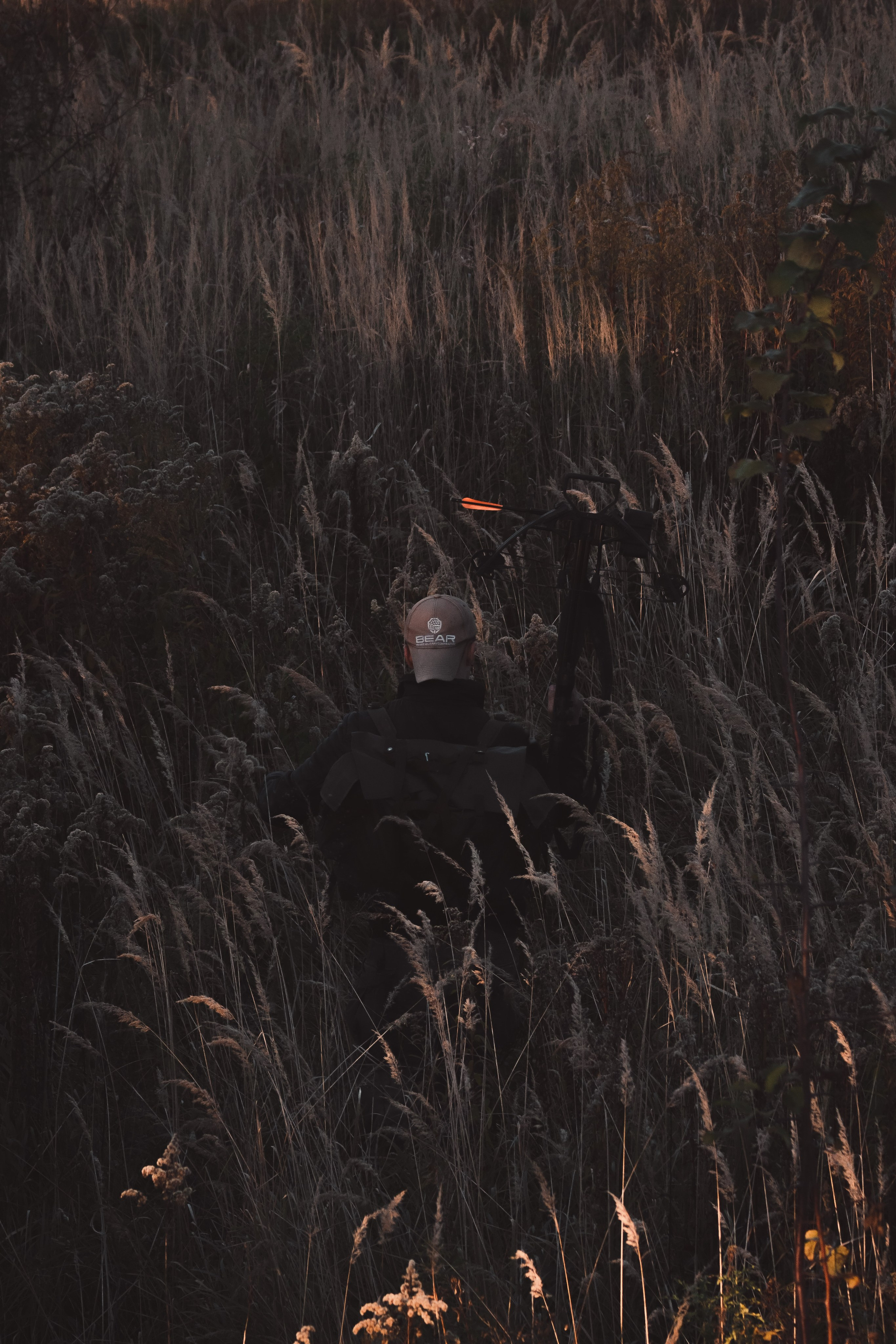 Никита П. (Daryl Dixon). — Digital Noise —