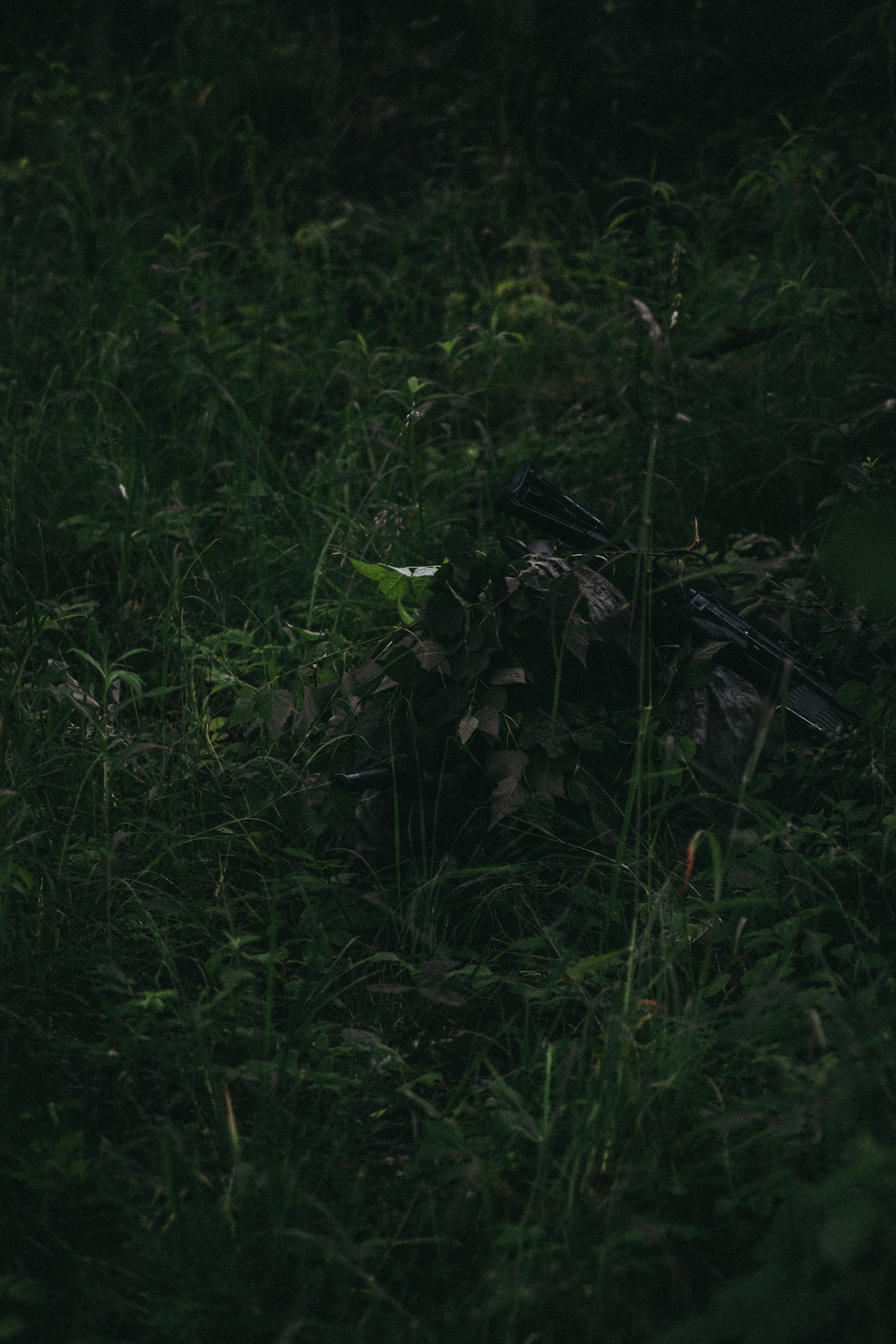 Никита П. (Лесной Массив). — Digital Noise —