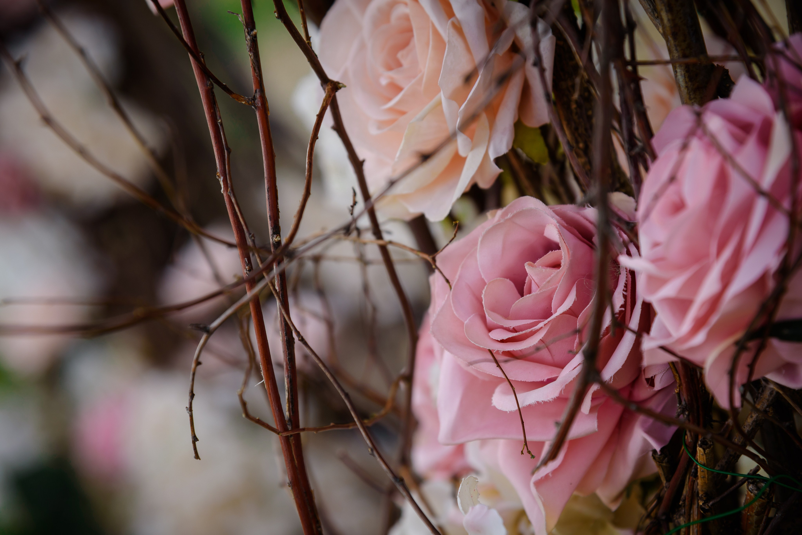 Вика и Слава. Фотограф Галина Нестерова