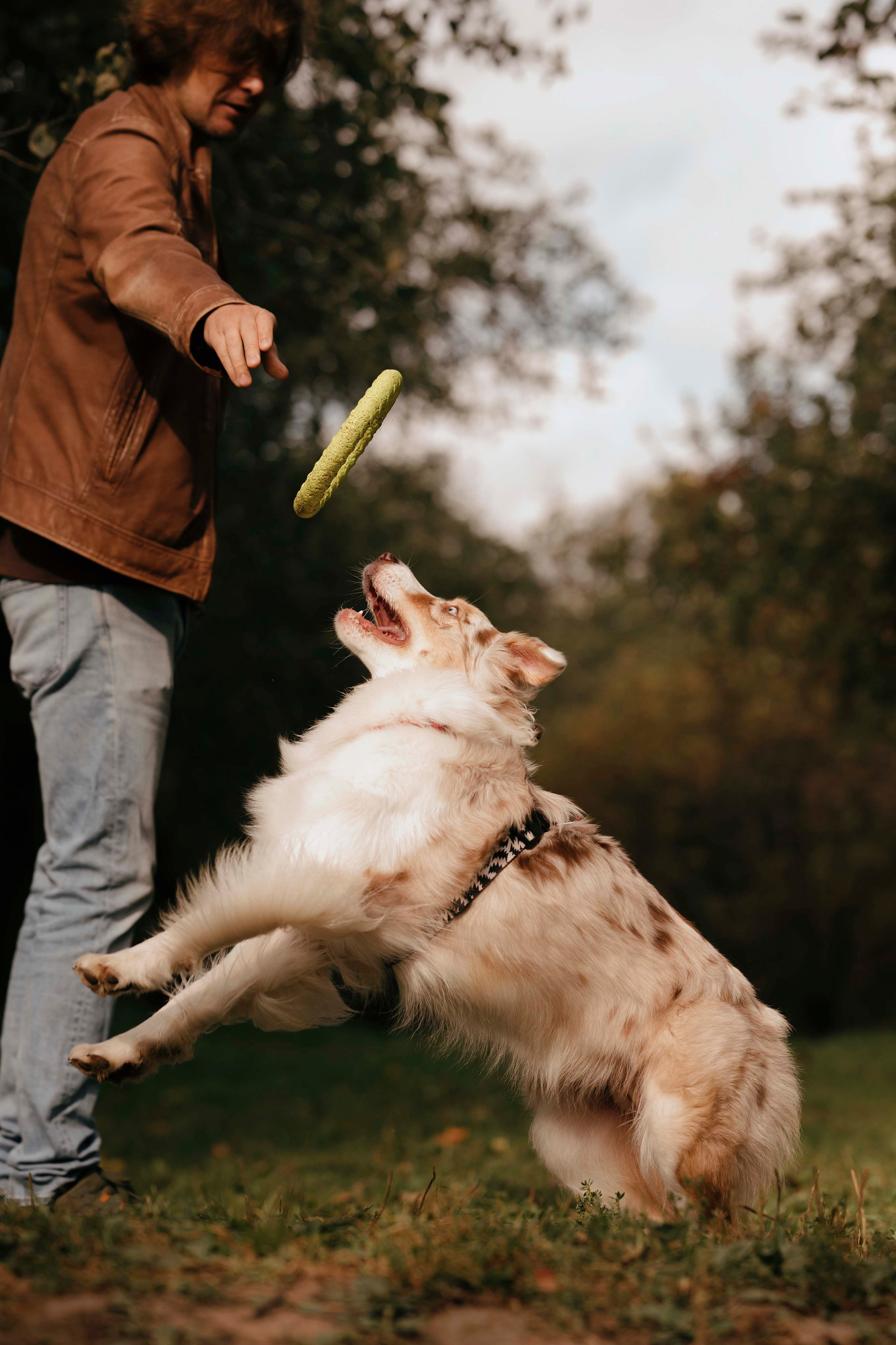 Дженни. Фотограф- анималист Александра Матвеева