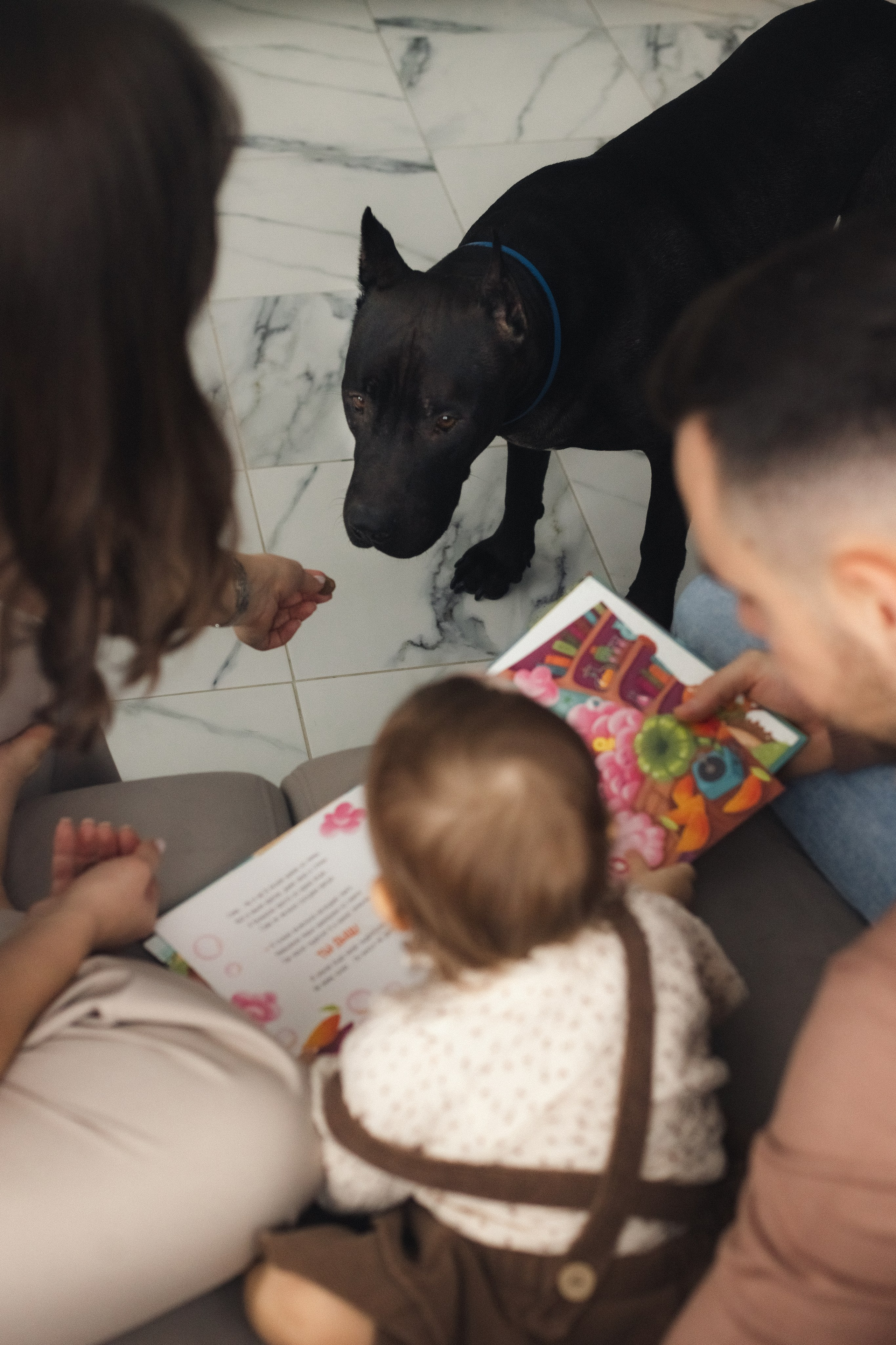 Дома. Фотограф из Петербурга