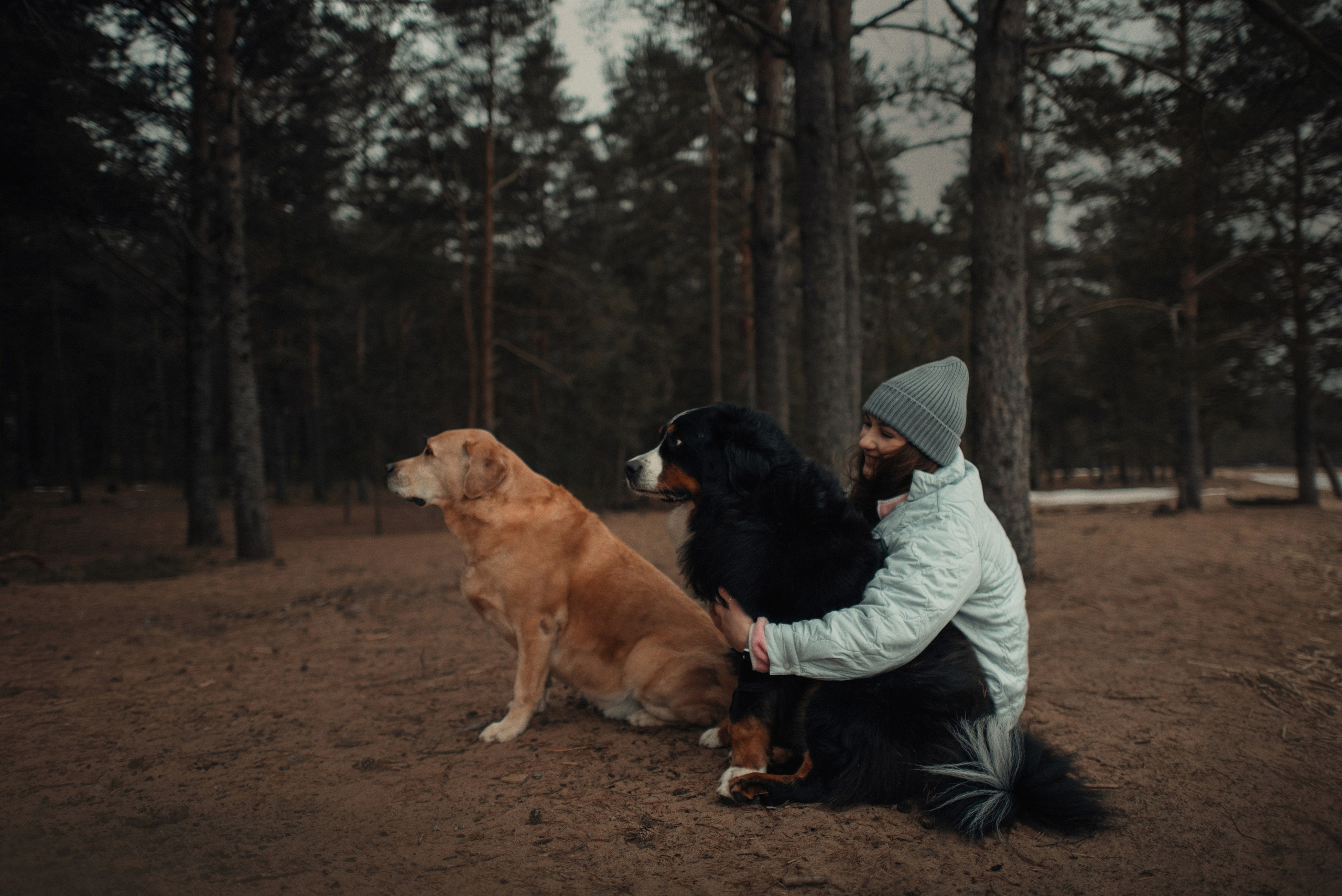 Прогулка: берн Пума, Фрэнк и Юля в Питере. Портфолио