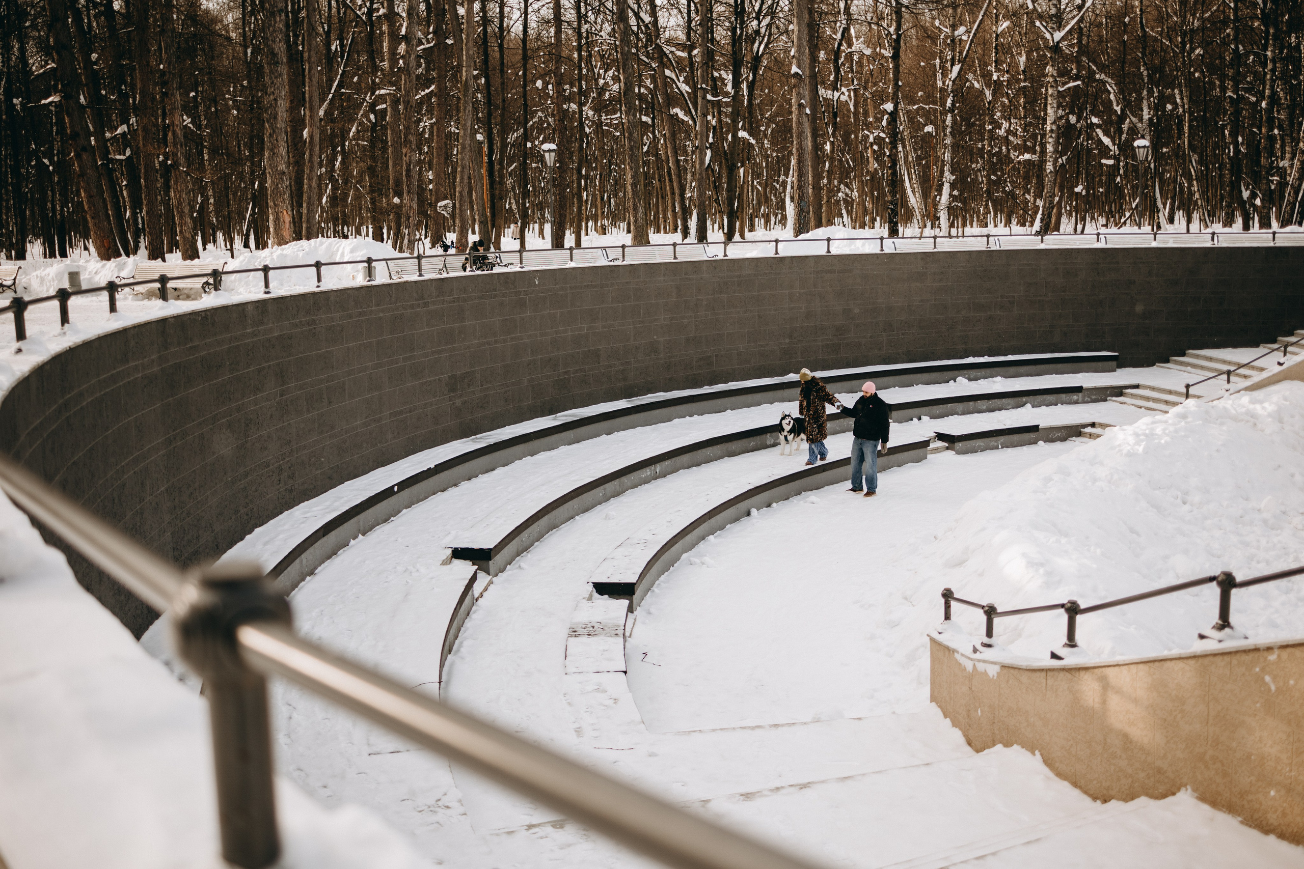 Вегас и его семья. Фотограф — Анималист | Санкт-Петербург