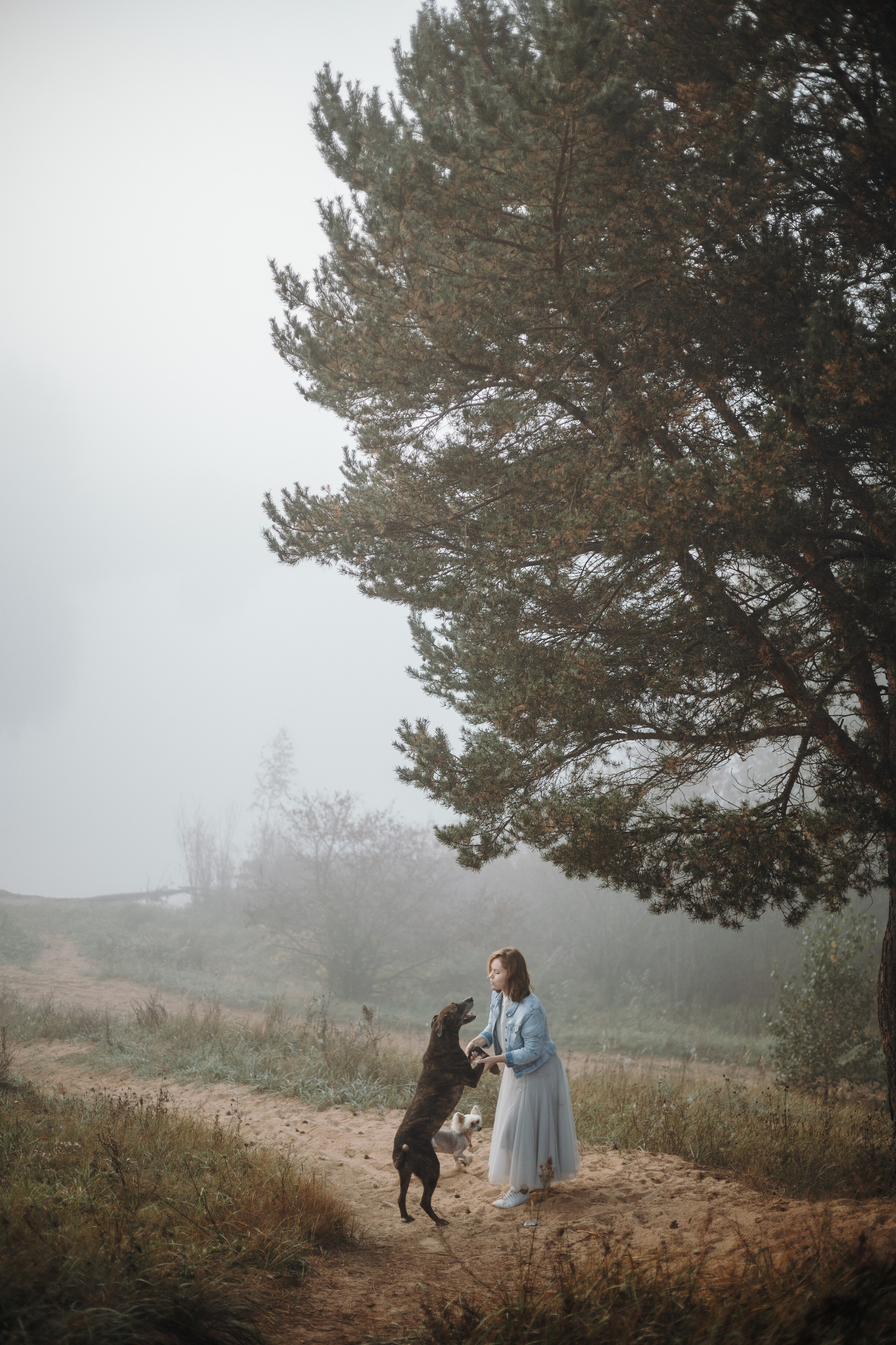 Любовь и ее хвостики. Фотограф — Анималист | Санкт-Петербург