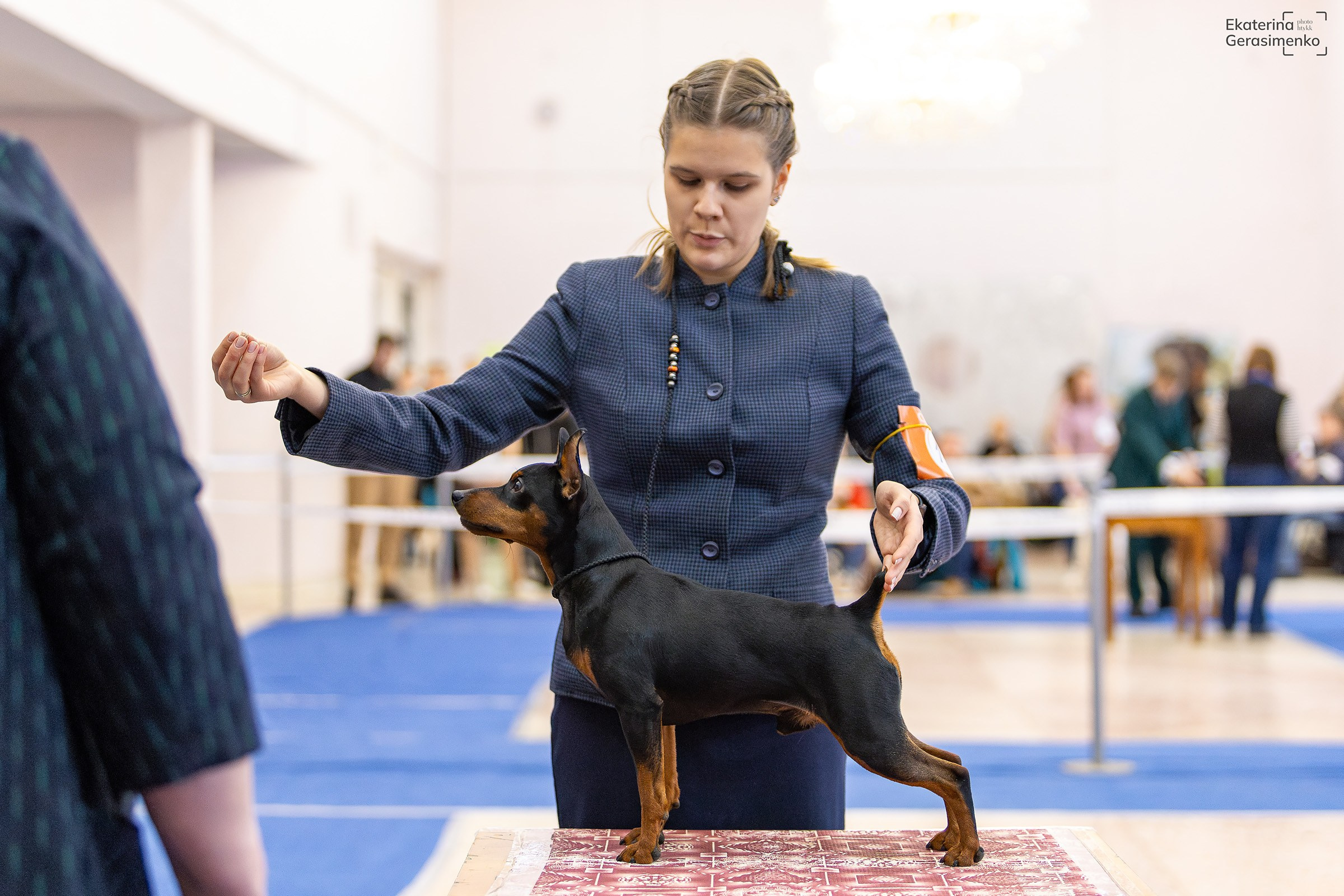 10 ноября 2024, Выставка РКФ, г. Пермь. Htykk_photo