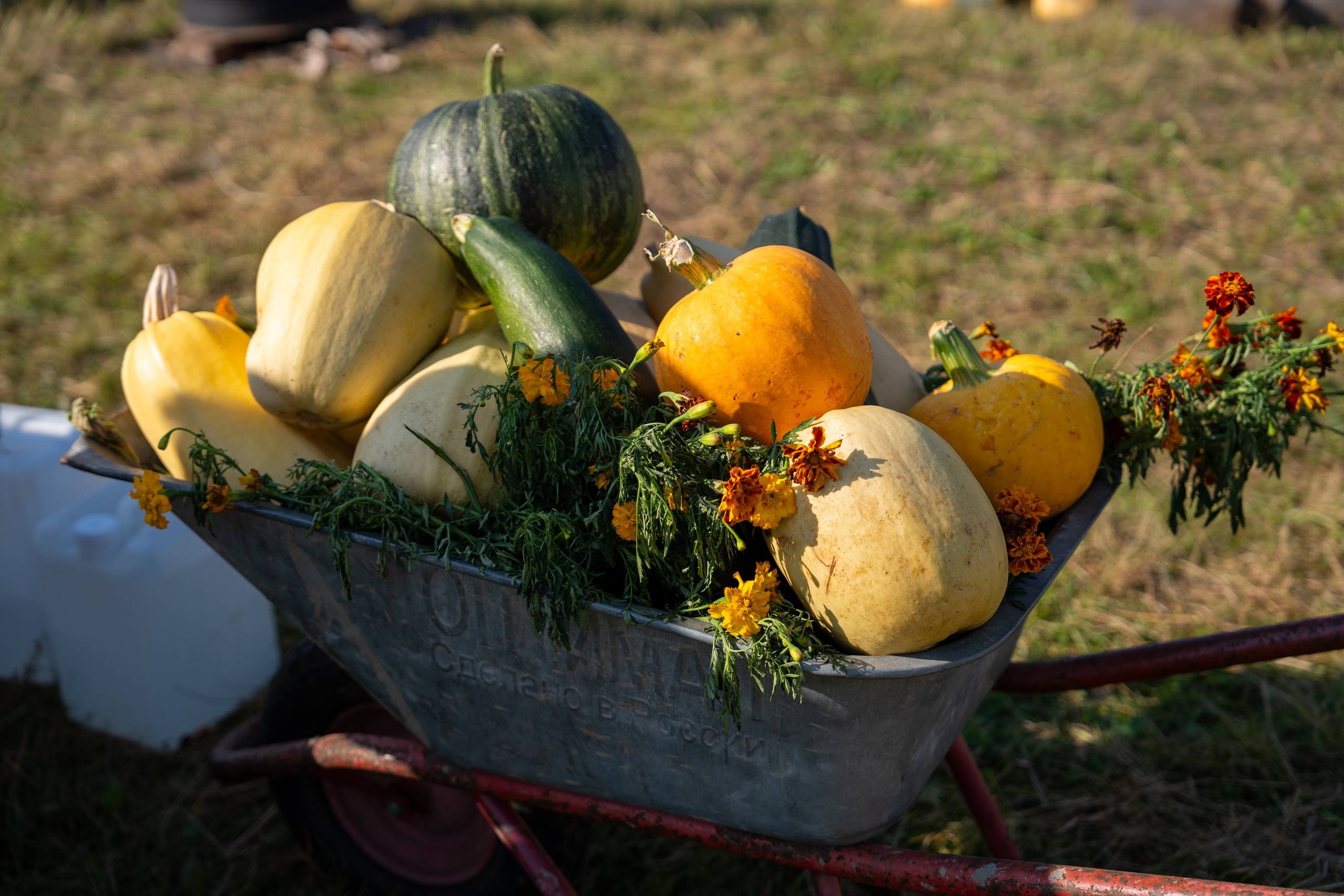 Ярмарка. Фотограф Наталья Сорока Ижевск