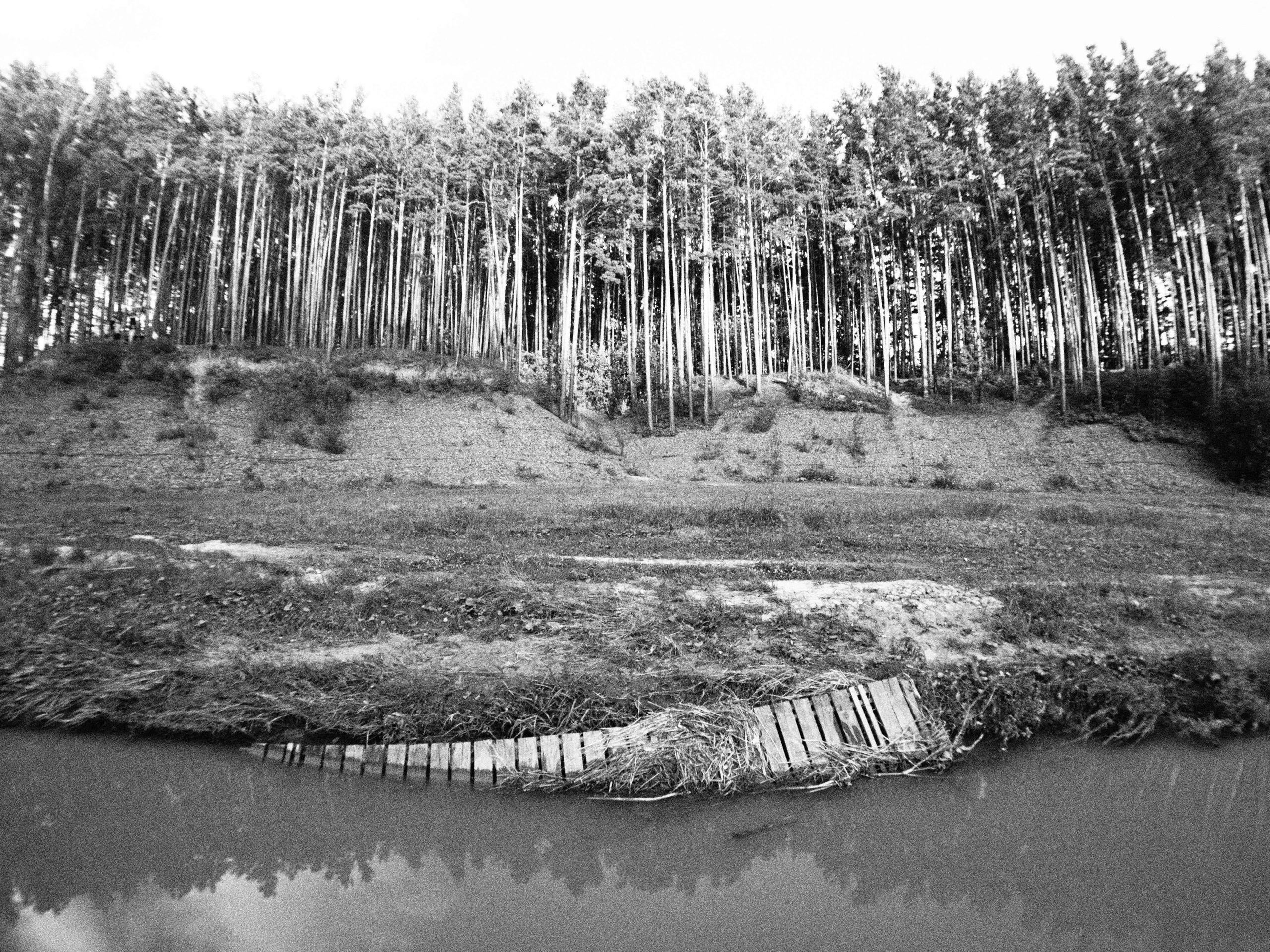 Промежуточные моменты (2023)