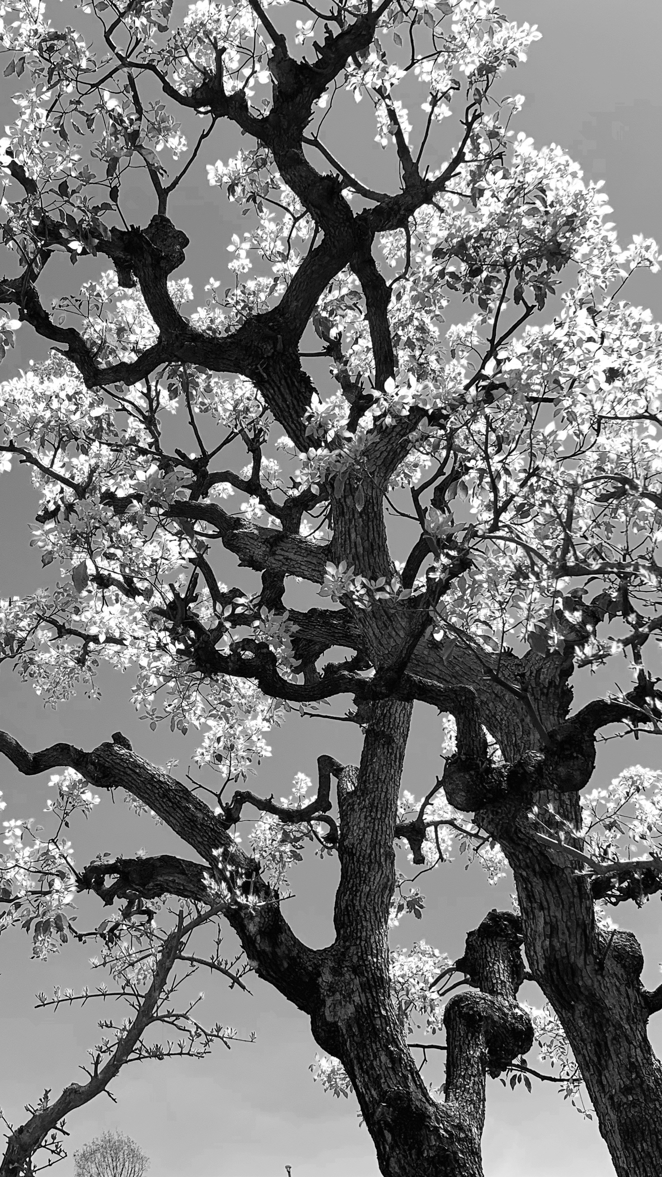 2019 год. Тащилин Сергей. Фотографии. Жизнь. Хобби