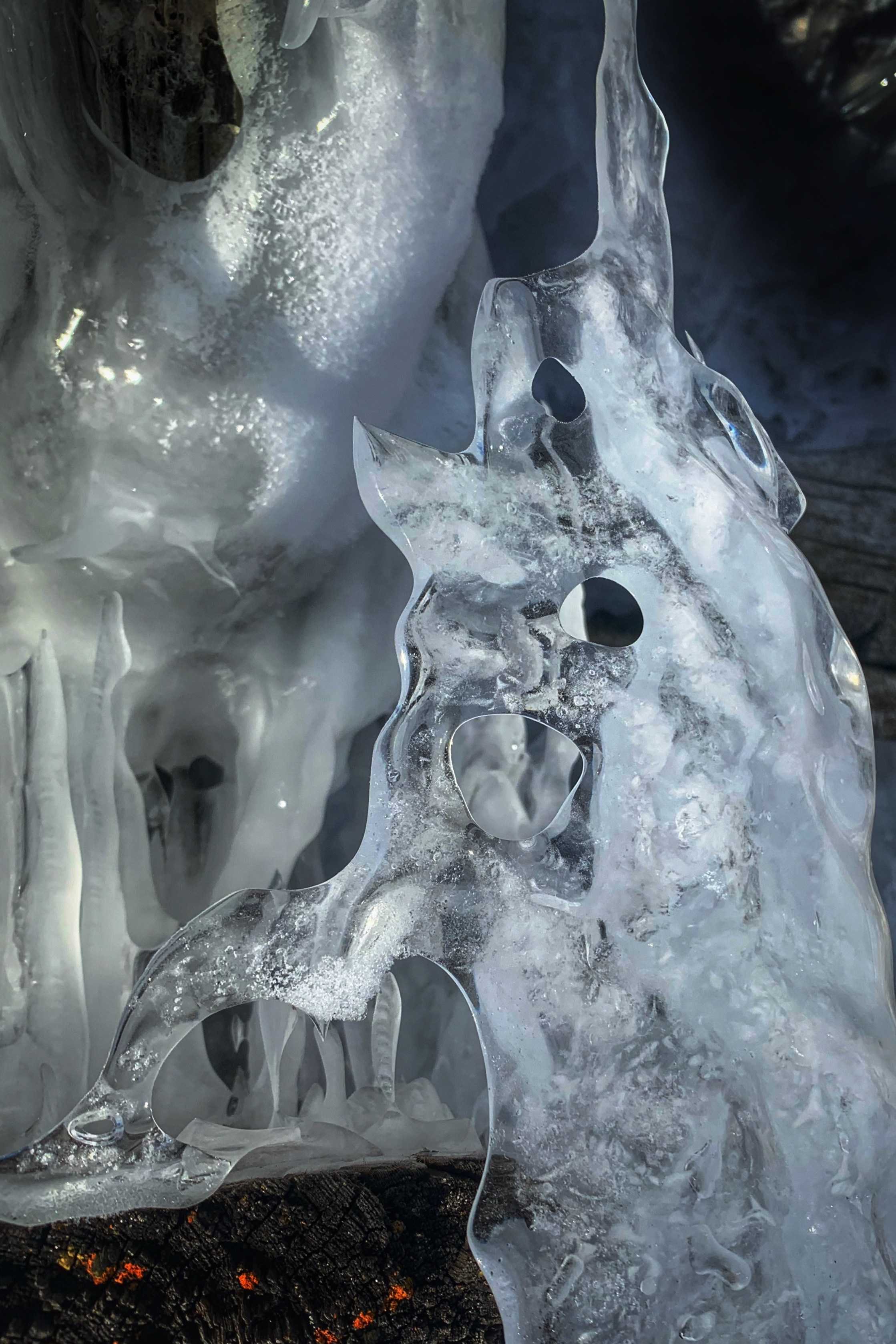 2022. Тащилин Сергей. Фотографии. Жизнь. Хобби