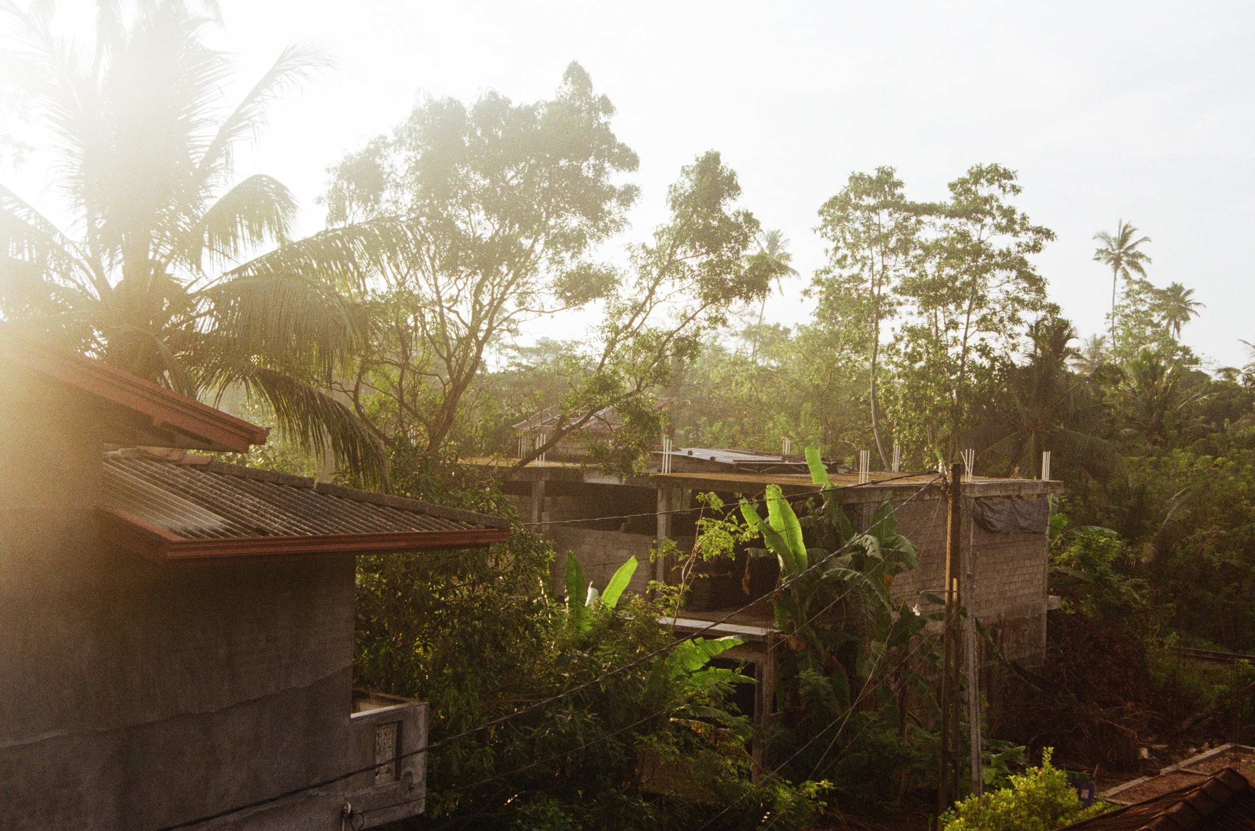 Пленка. Главная