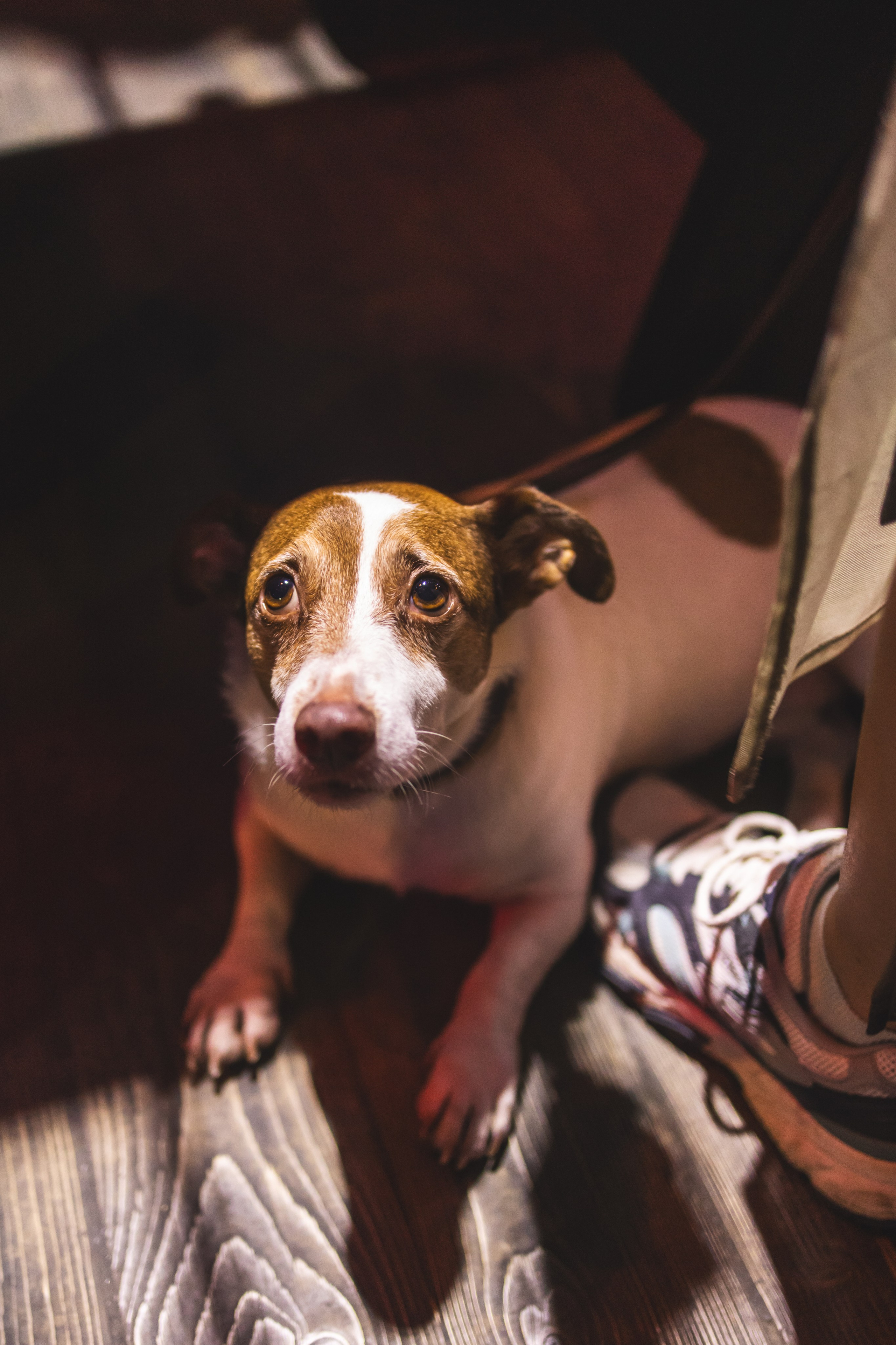 Музыкально-творческий фестиваль. Фотограф Ольга Махалова — Санкт-Петербург, Москва, Нижний Новгород