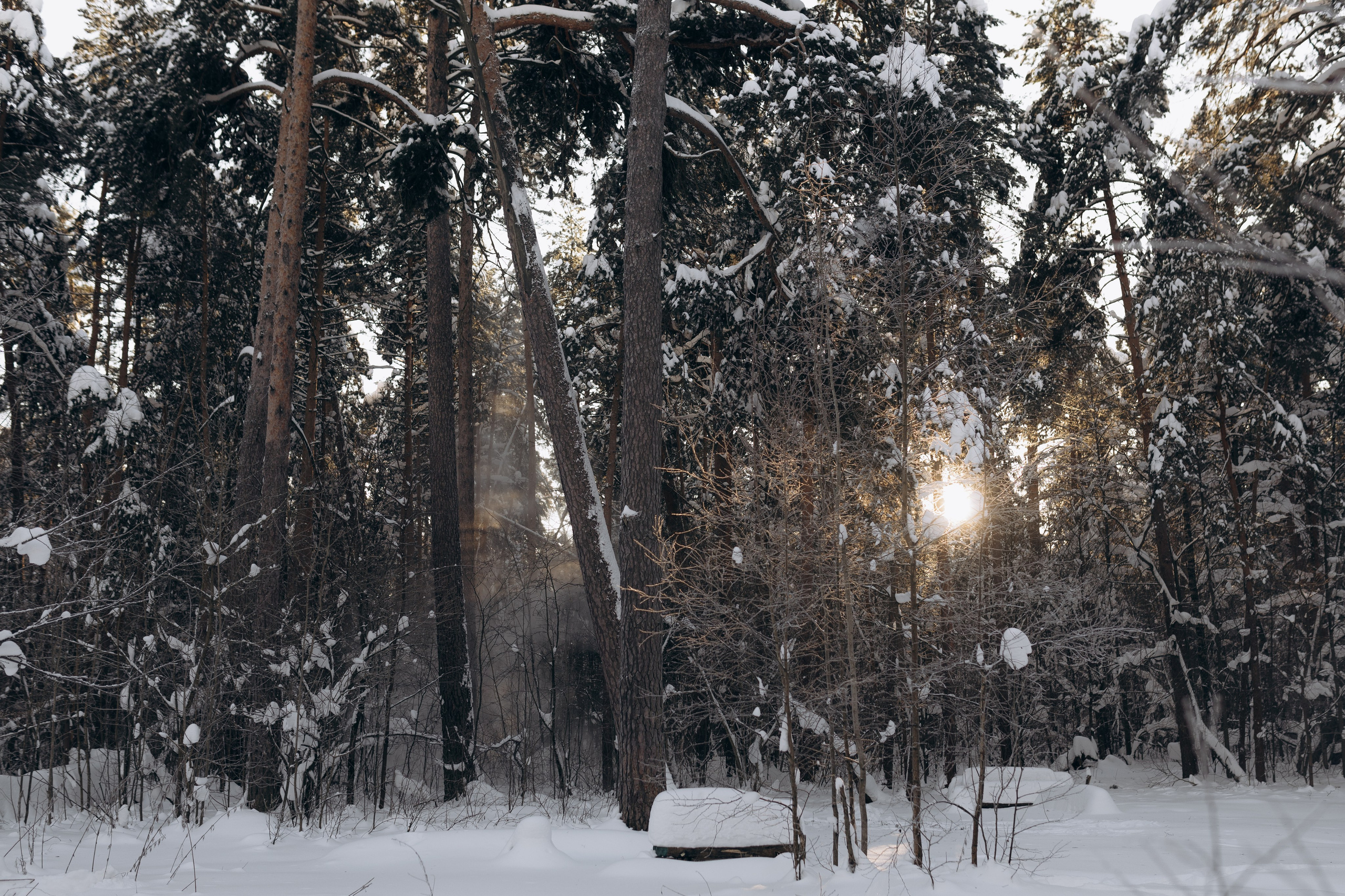 Федор и Саша. Фотограф Людмила Оюн